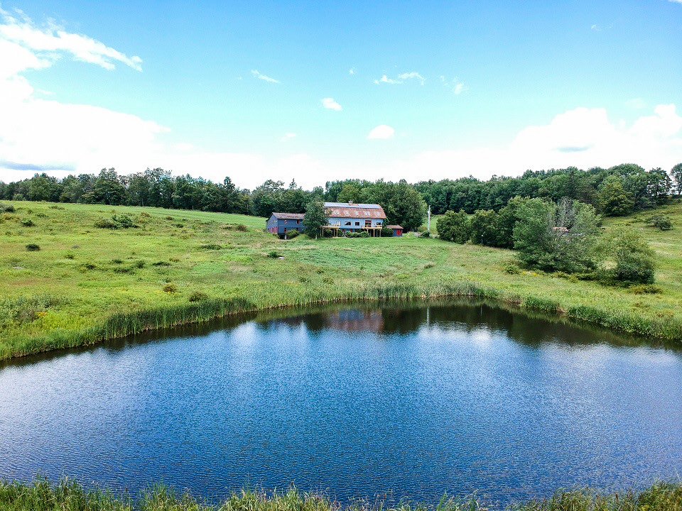 Pond at Callicoon home for sale