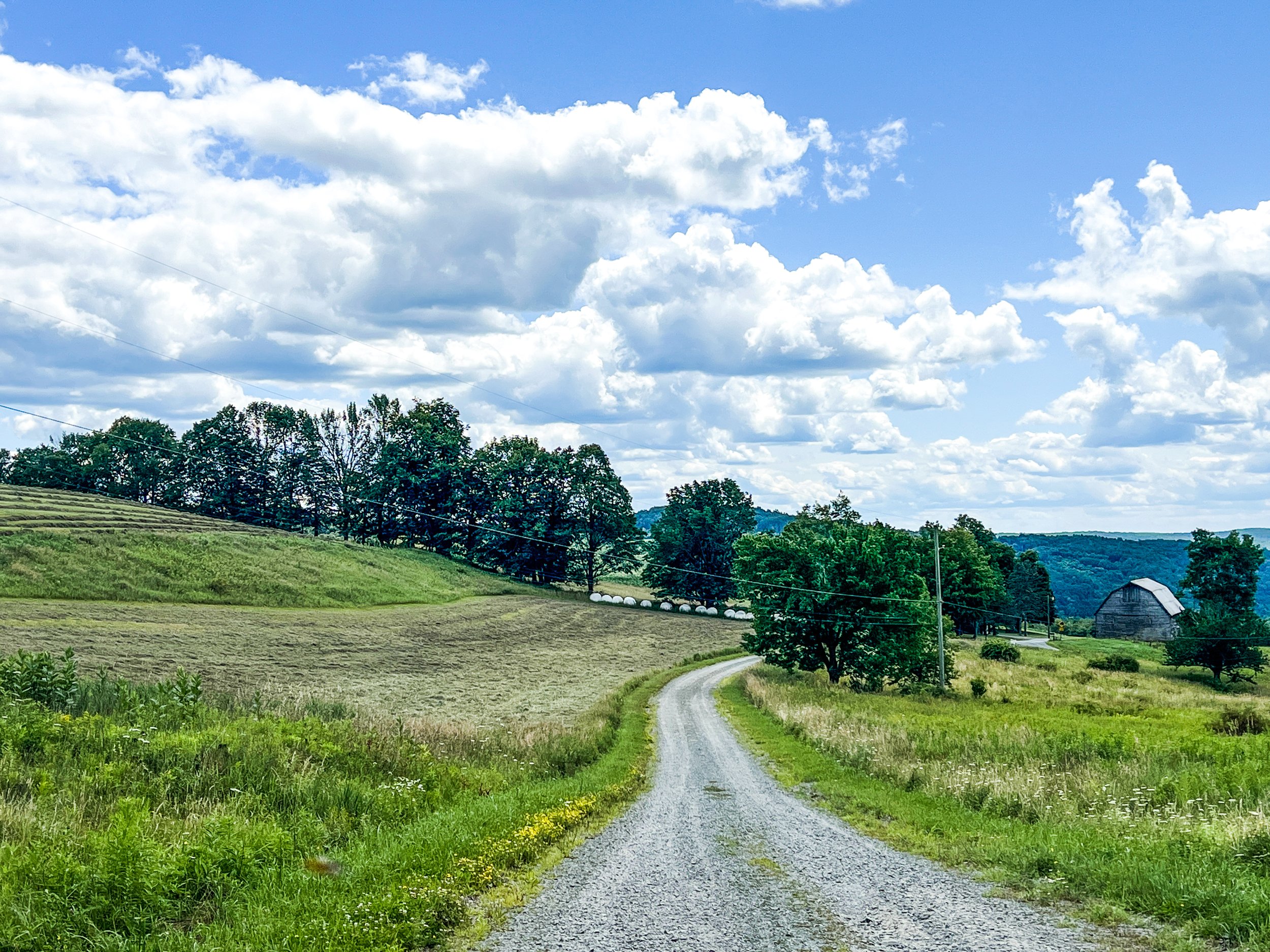 Callicoon NY house for sale