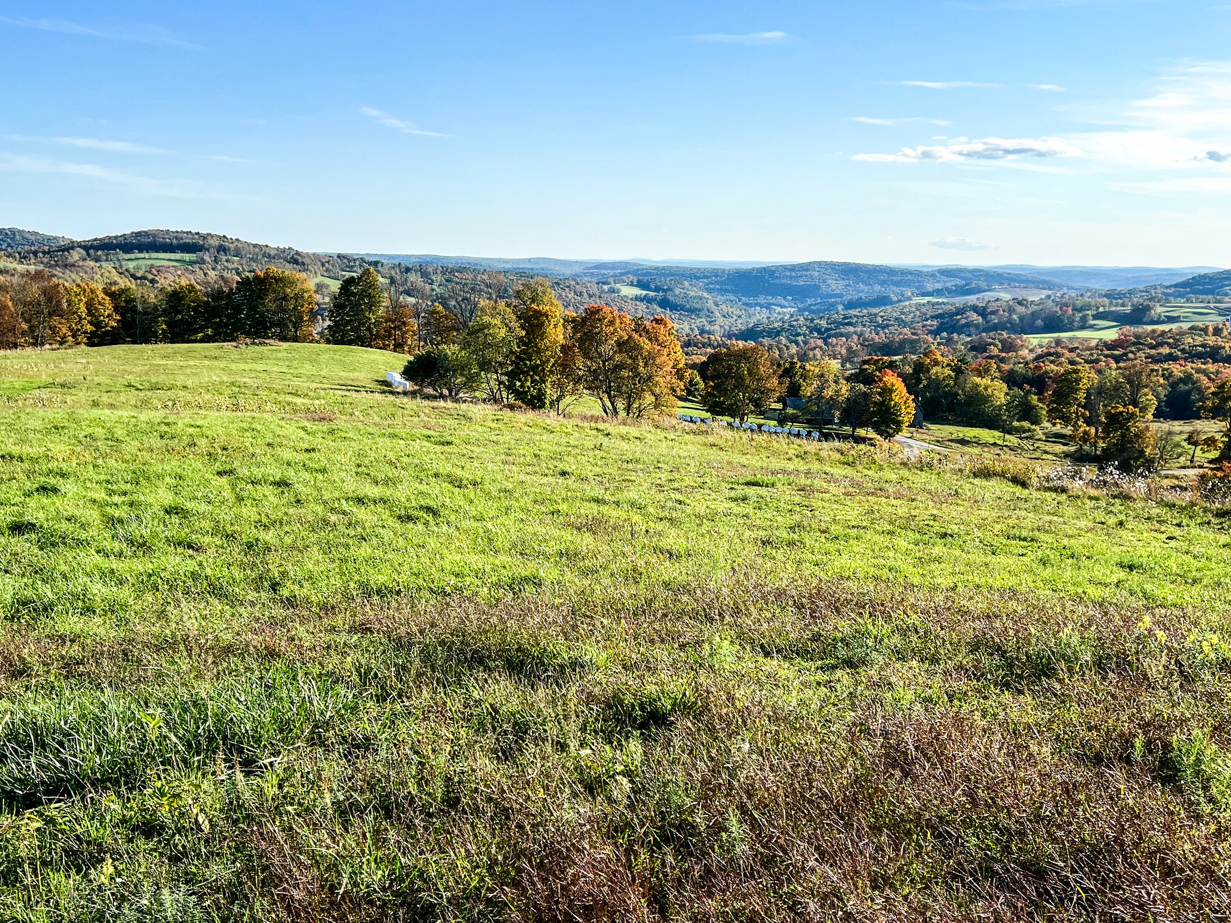 Callicoon NY land for sale