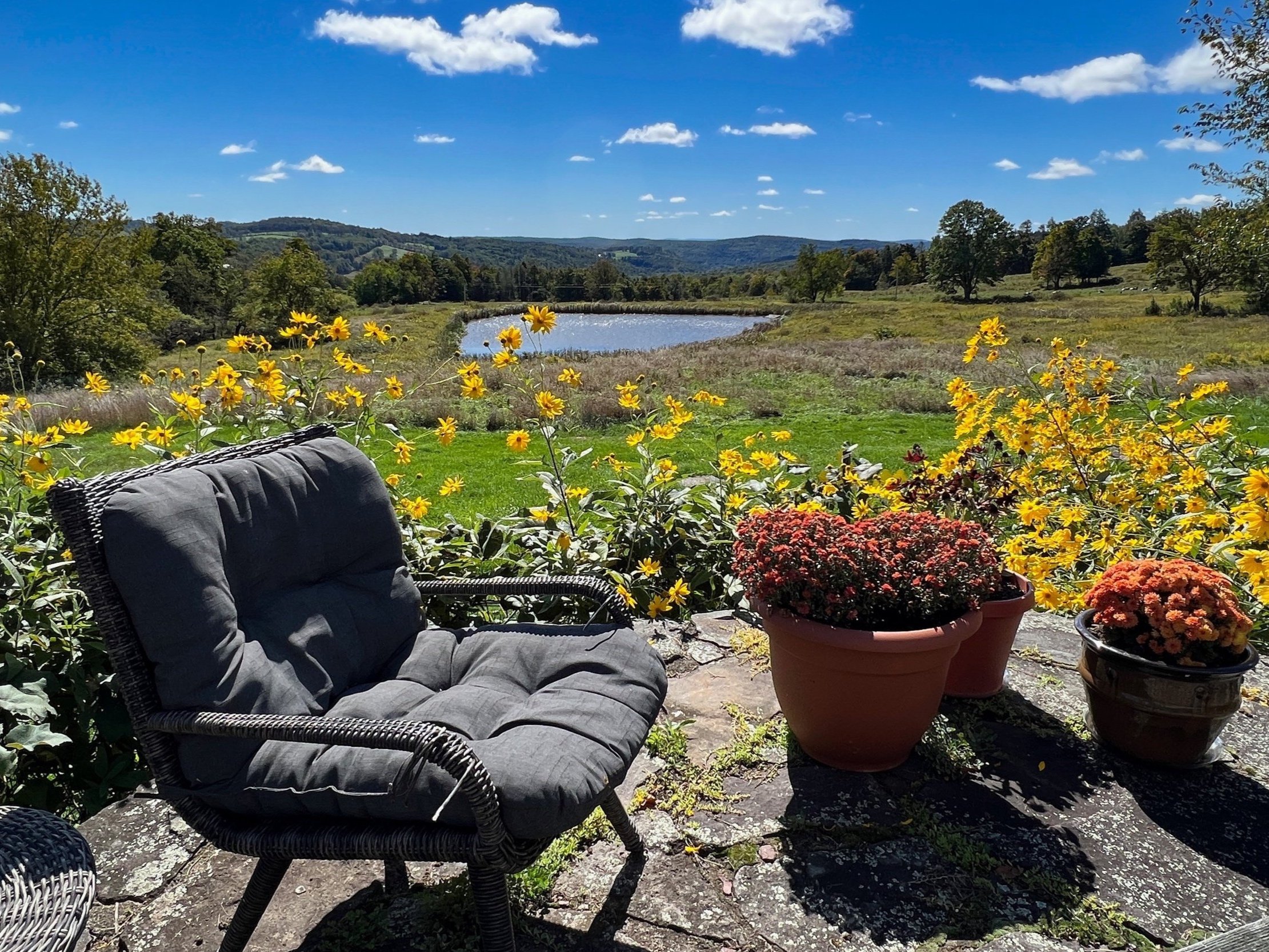 Callicoon NY house for sale