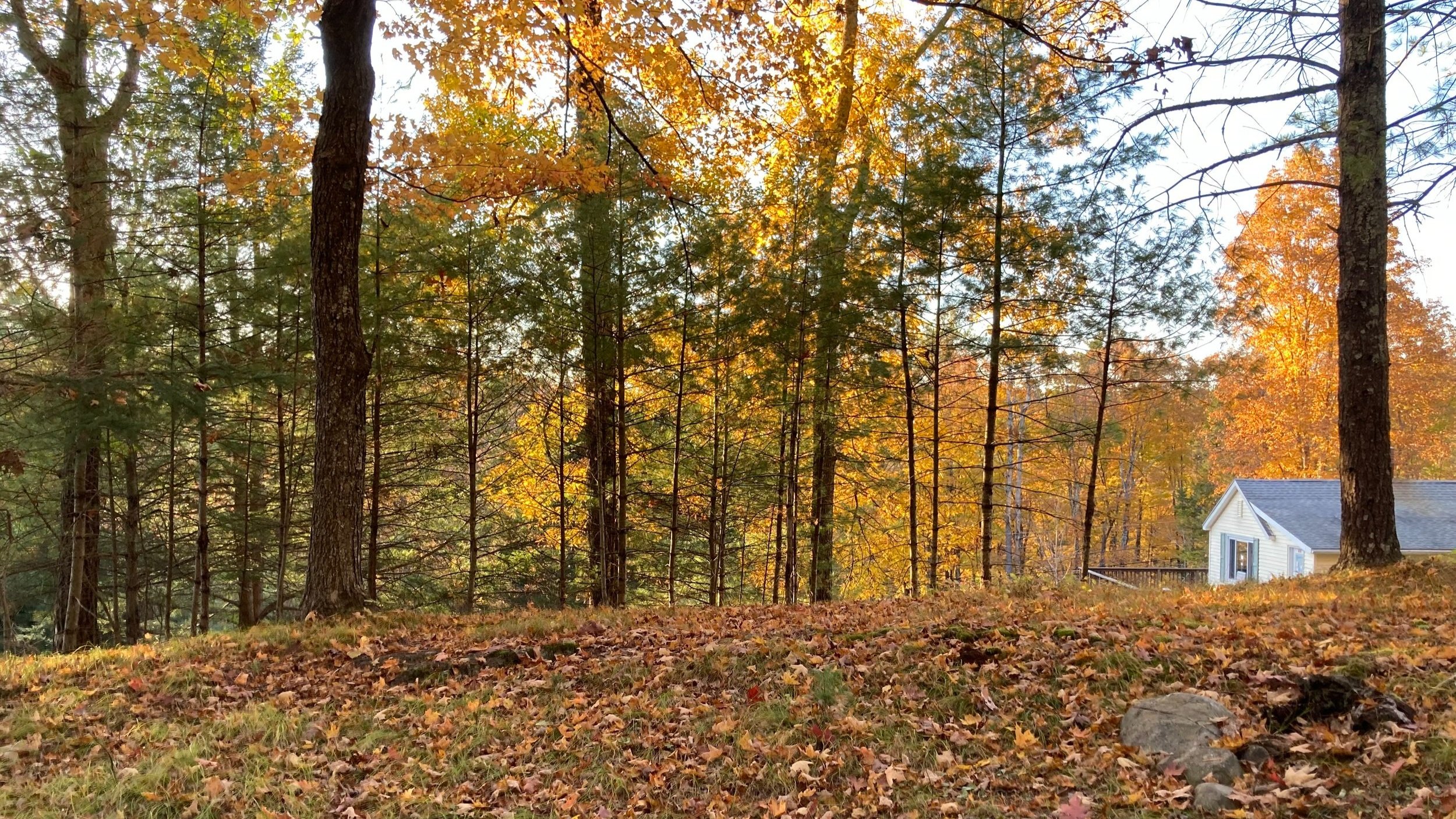 Fall+view+from+rear+acre.jpg