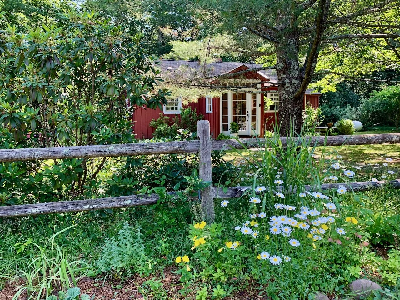 Top 10 Blooming Perennials in The Catskills
