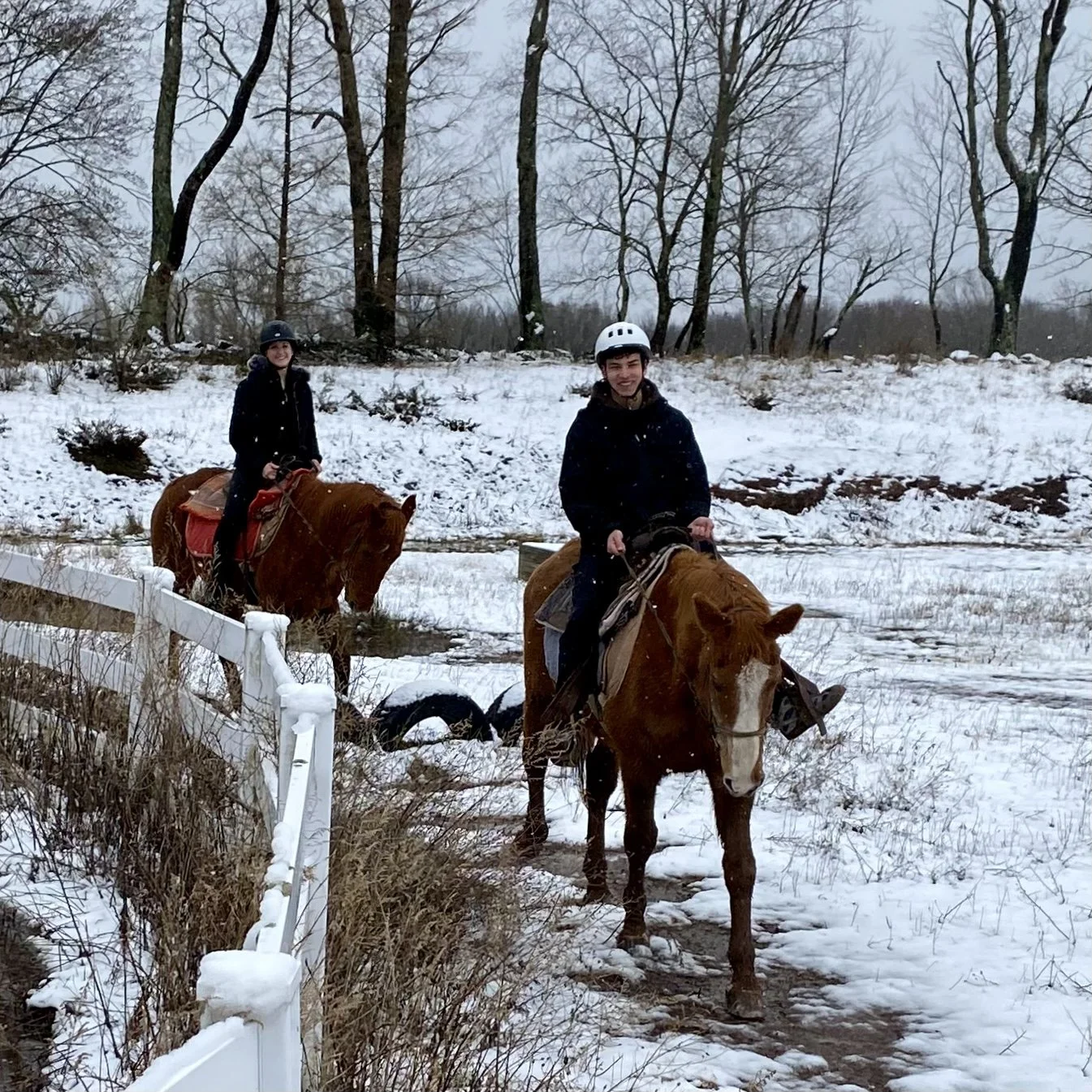 Bridle Hill