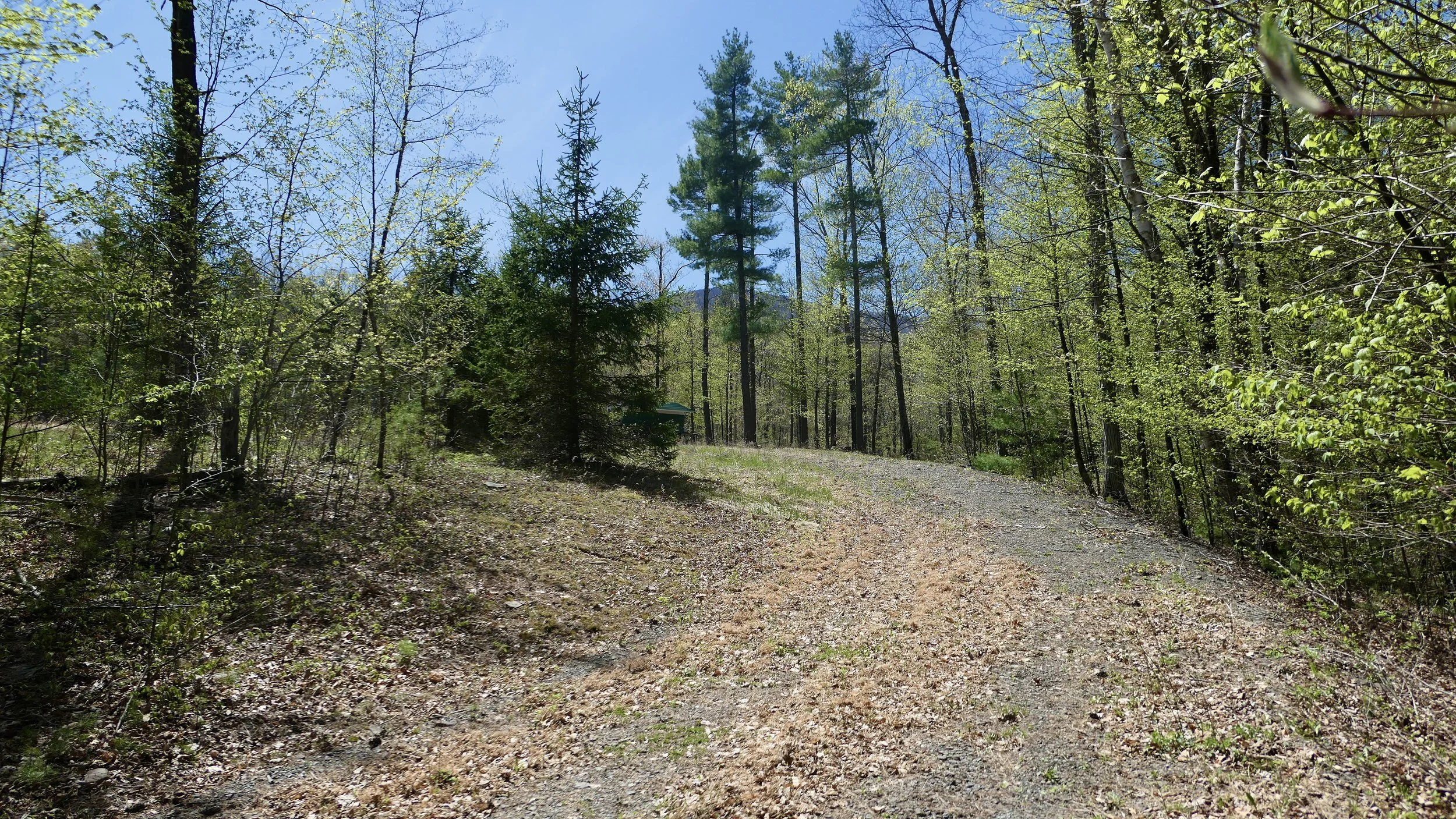 P1000804.JPG