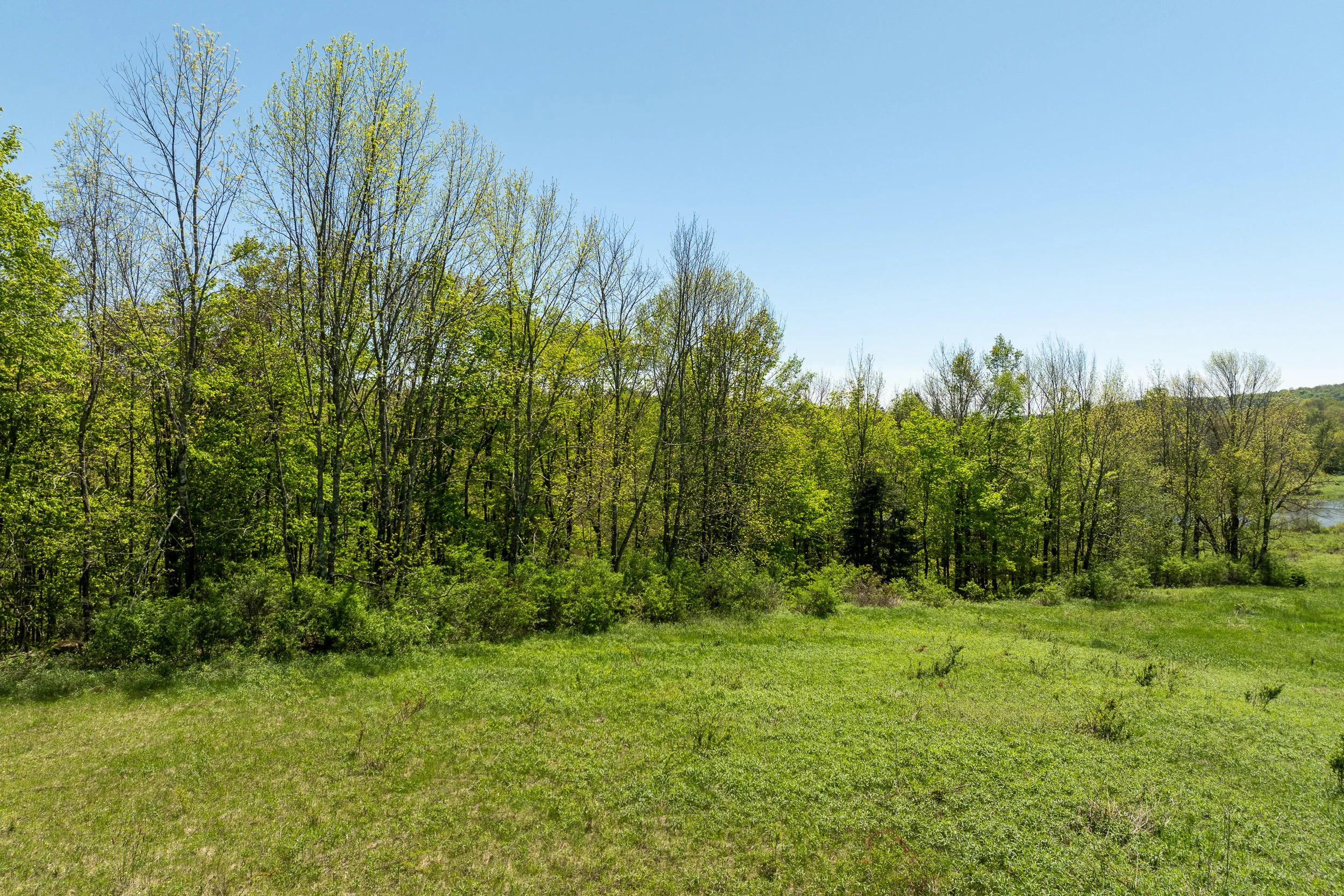 DJI_0551.jpg