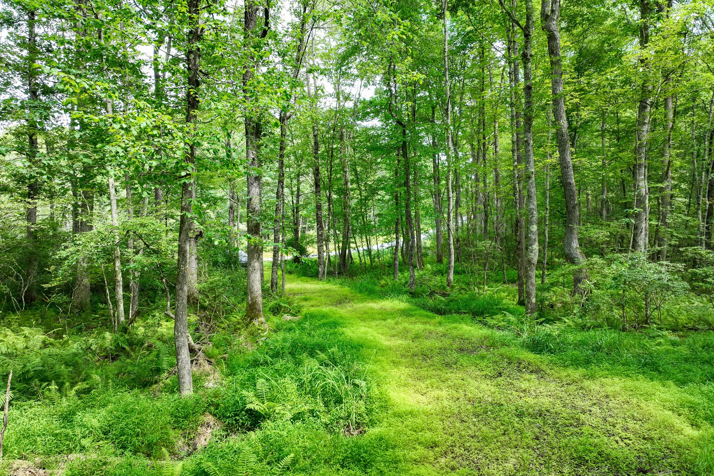 DJI_0339.jpg