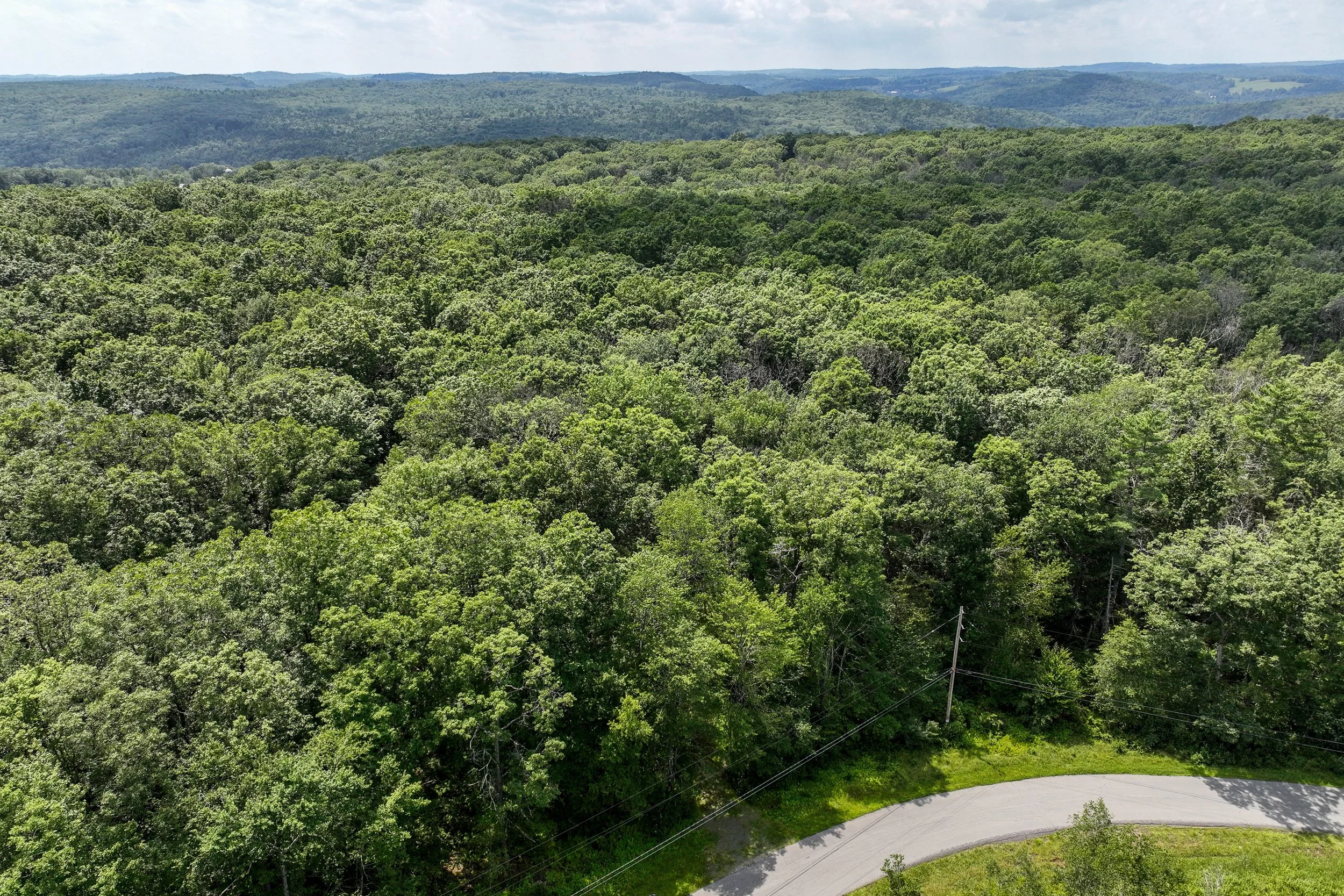 DJI_0370.jpg
