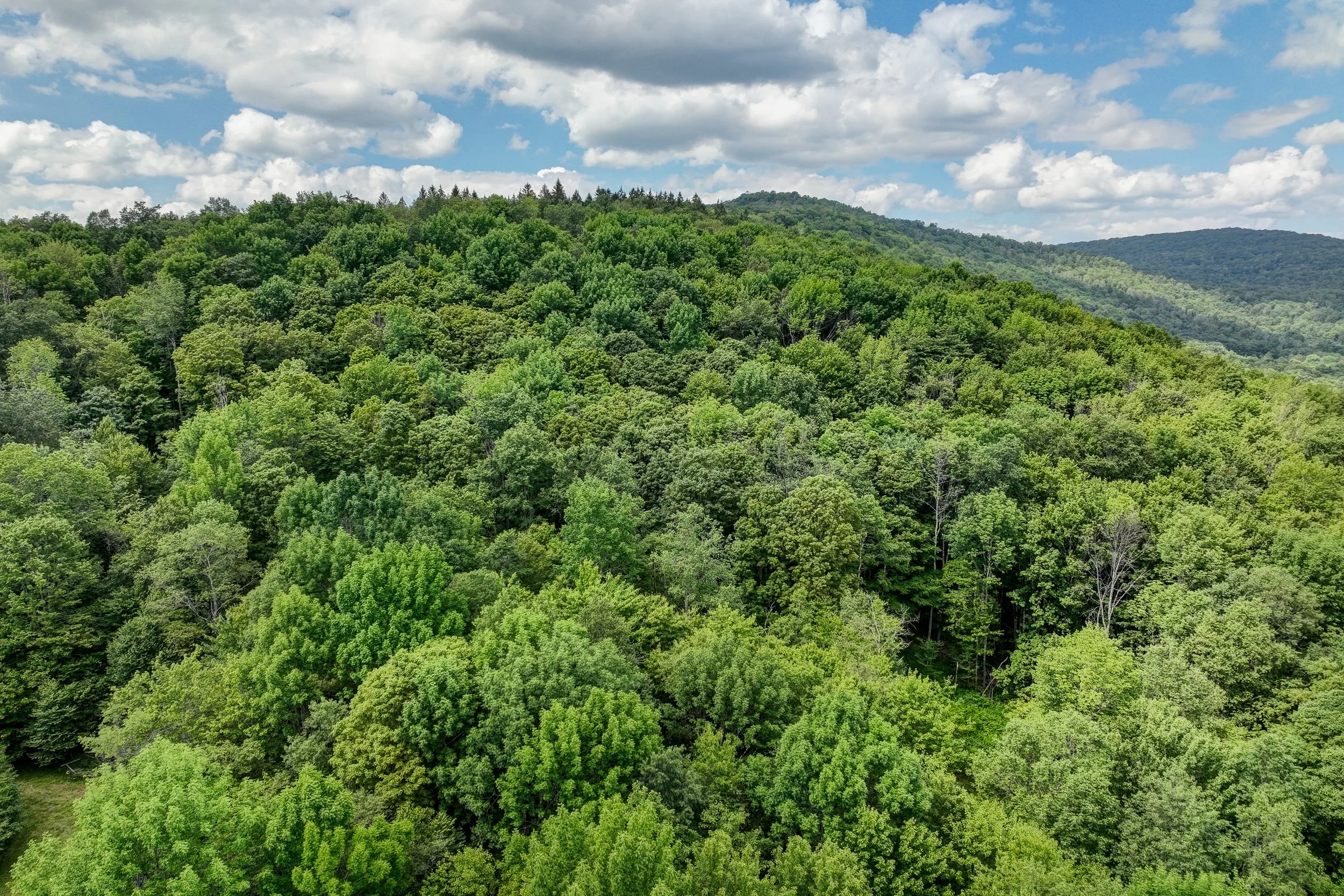 DJI_0412-2.jpg