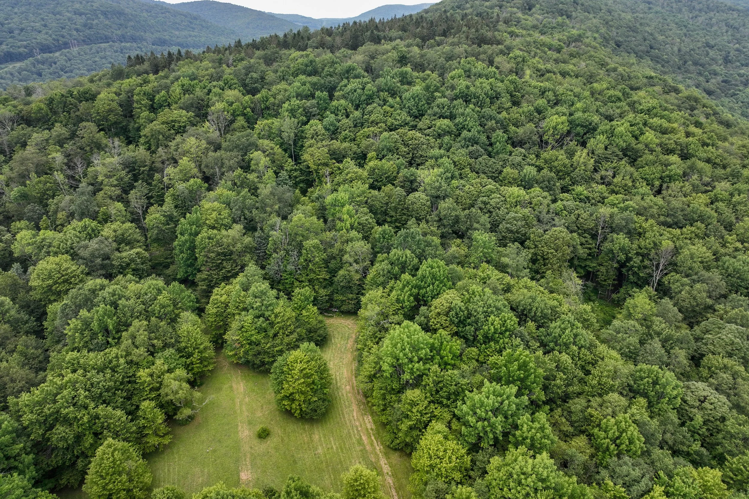 DJI_0426.jpg