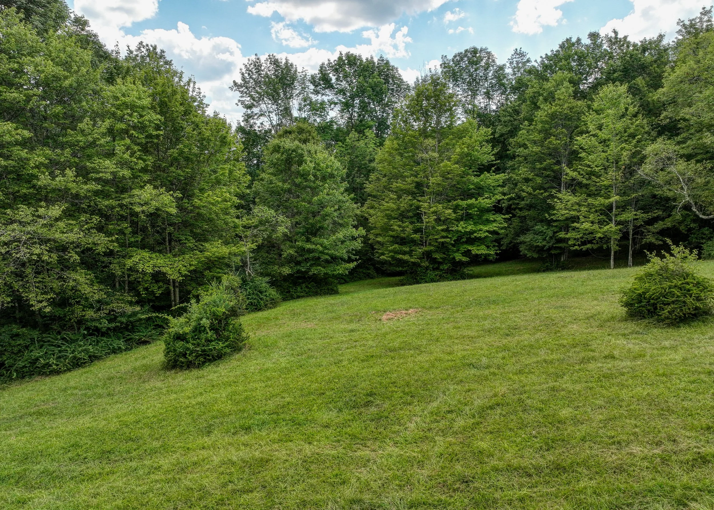 DJI_0457-2.jpg