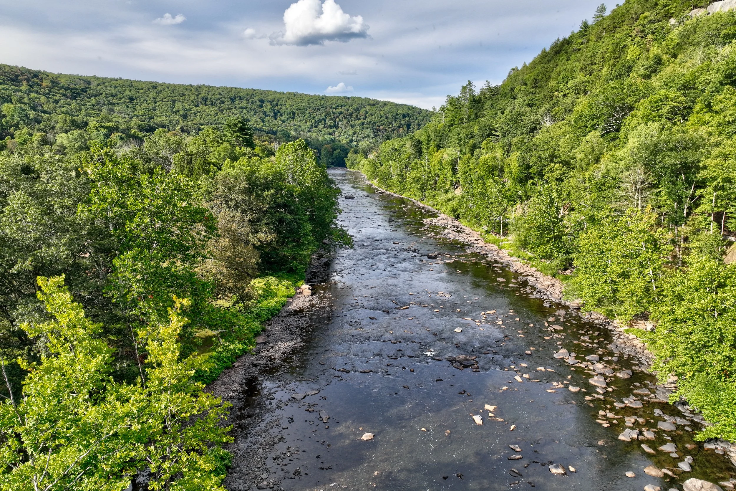 182_beisel_35.jpg