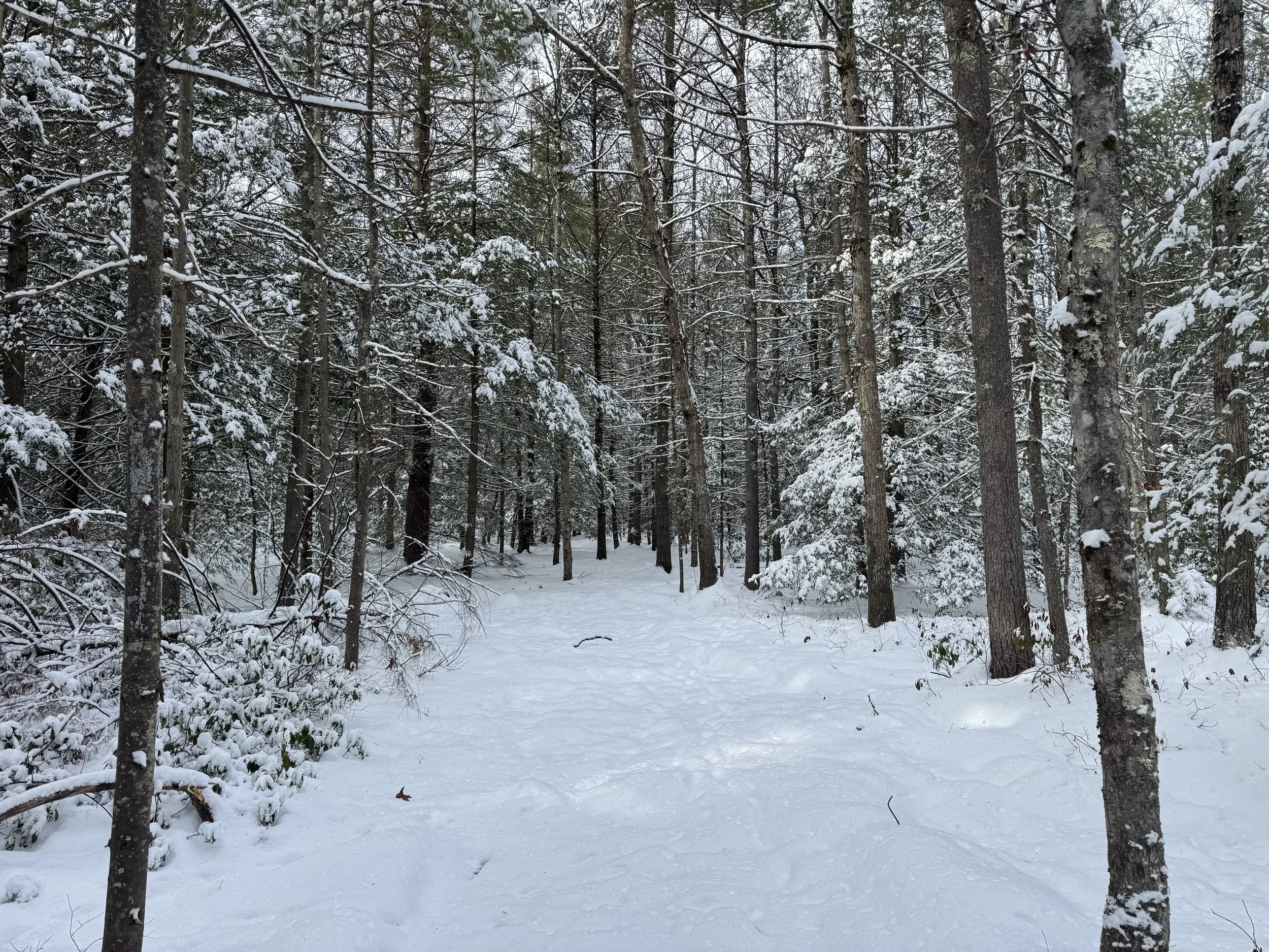 Renner Road: Mountain Dale, NY