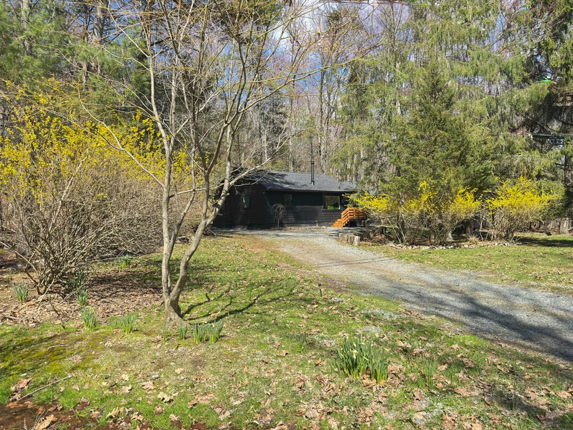 4D37DD88-92A1-4633-9639-09591EB60220_1_105_c-2.jpg