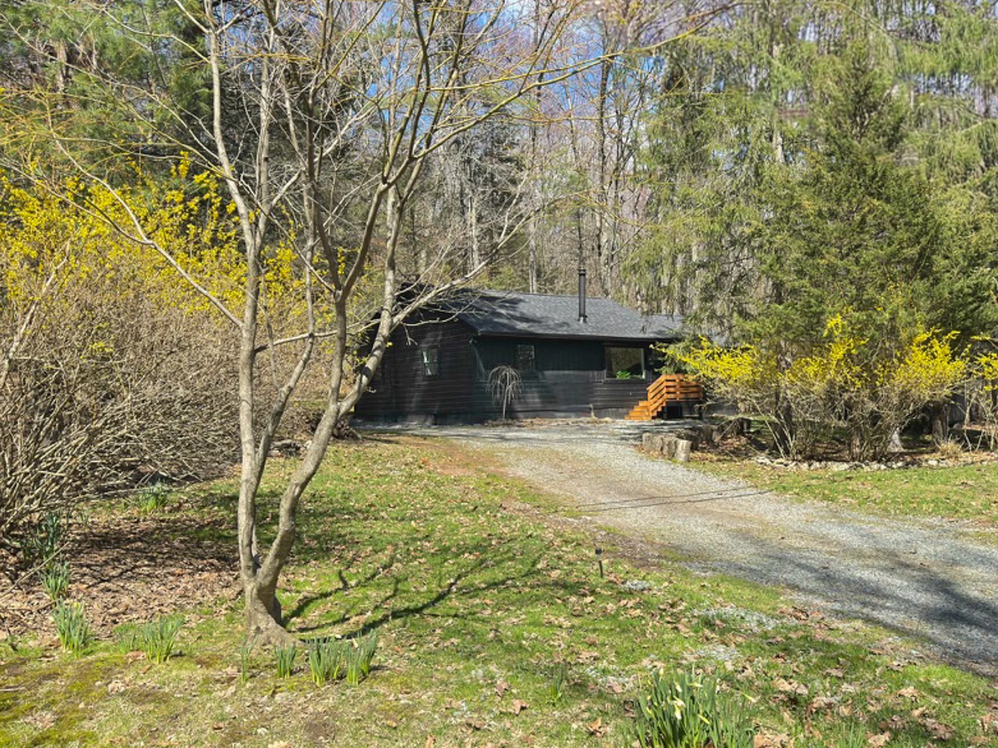 4D37DD88-92A1-4633-9639-09591EB60220_1_105_c.jpg