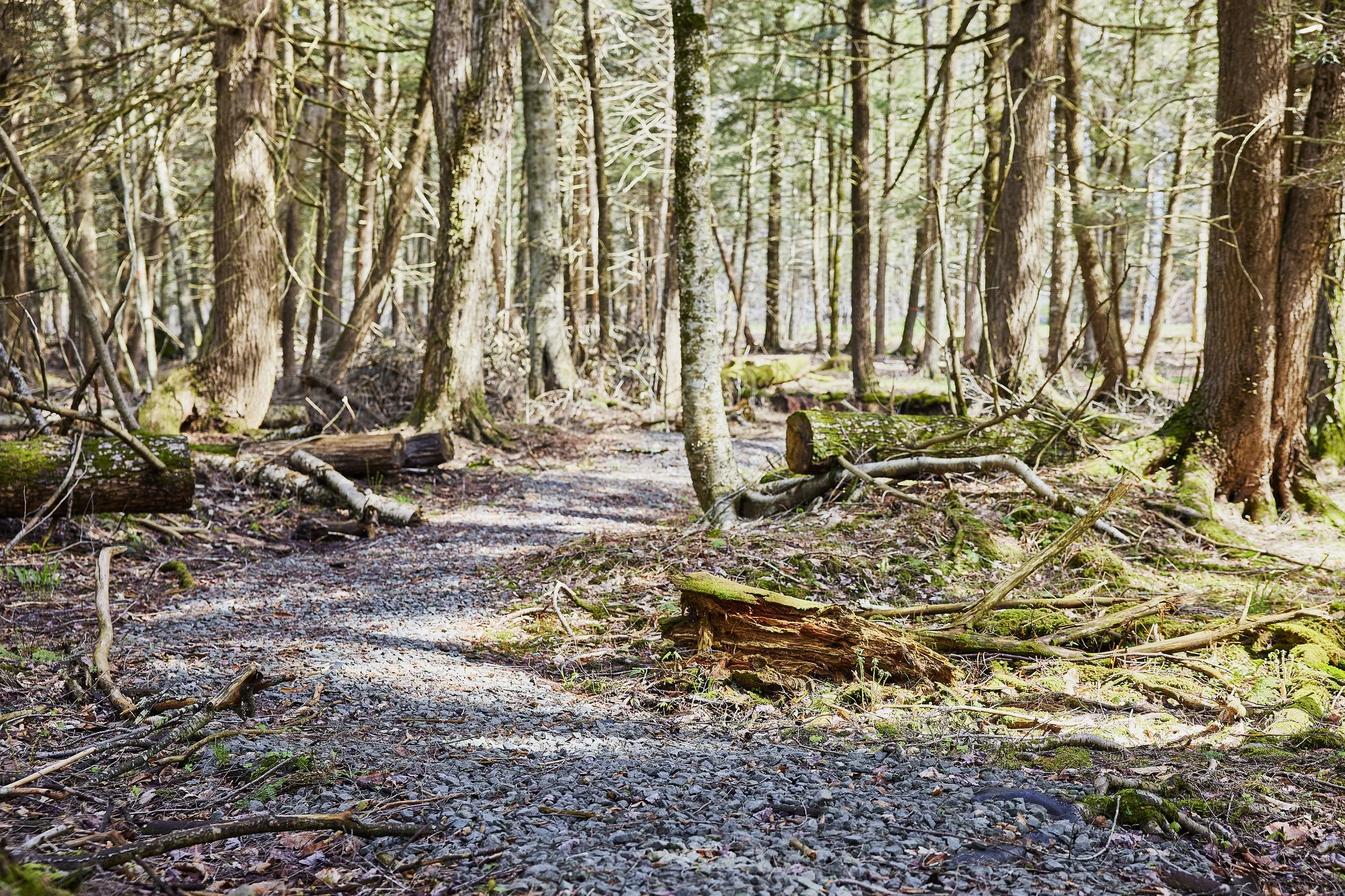 AF_260507_453LittleIrelandRd_105.jpg