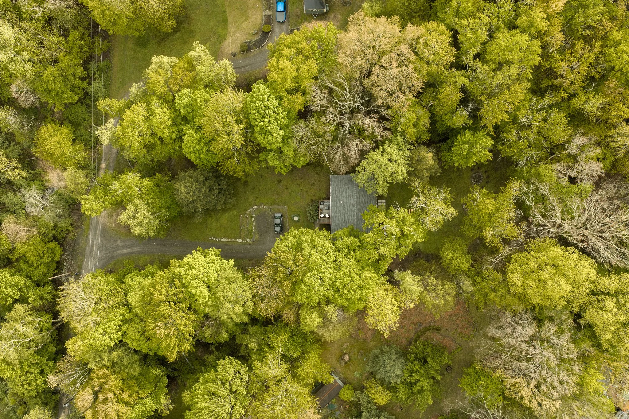 DL259.jpg