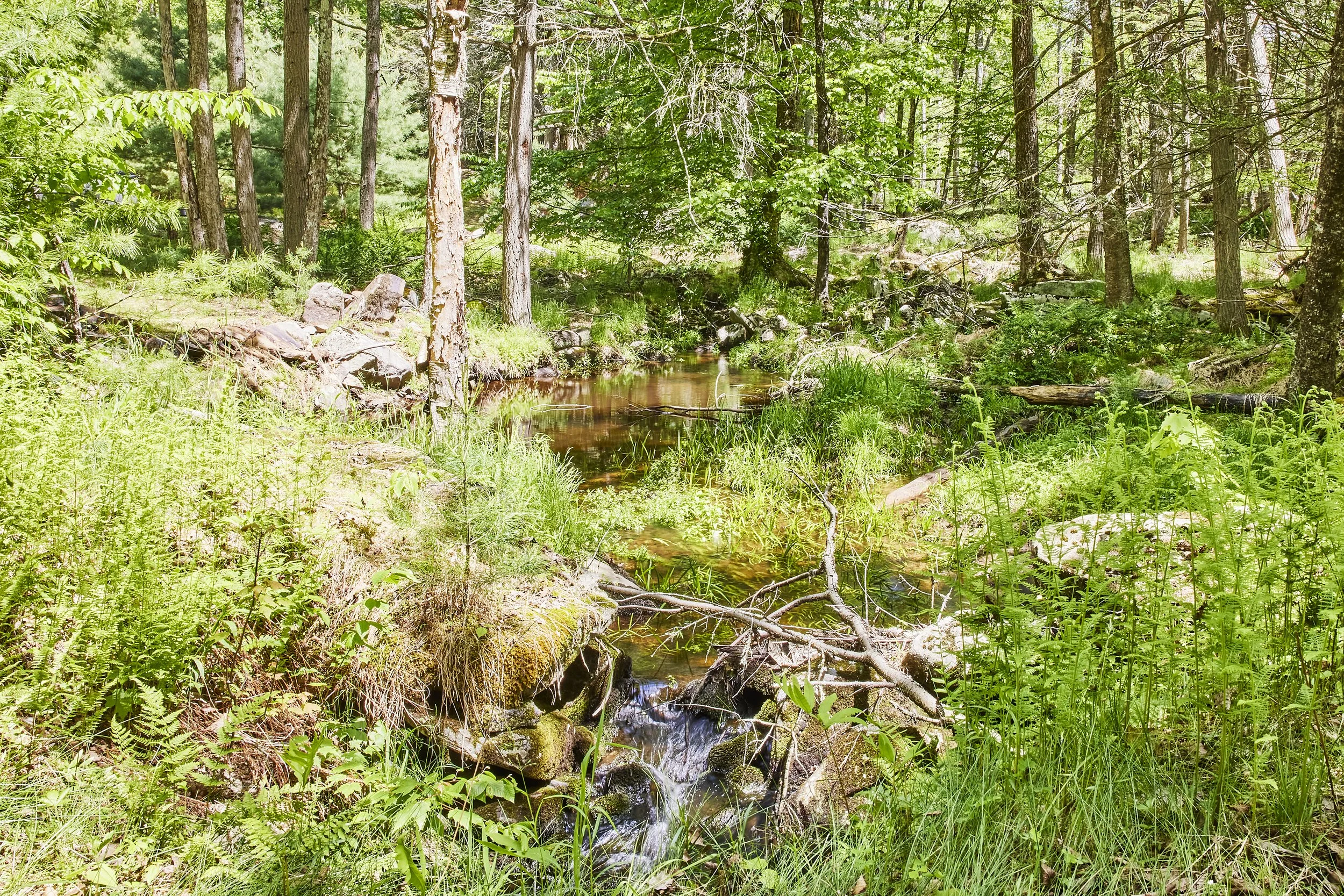 AF_260526_9CurtisRd_846.jpg