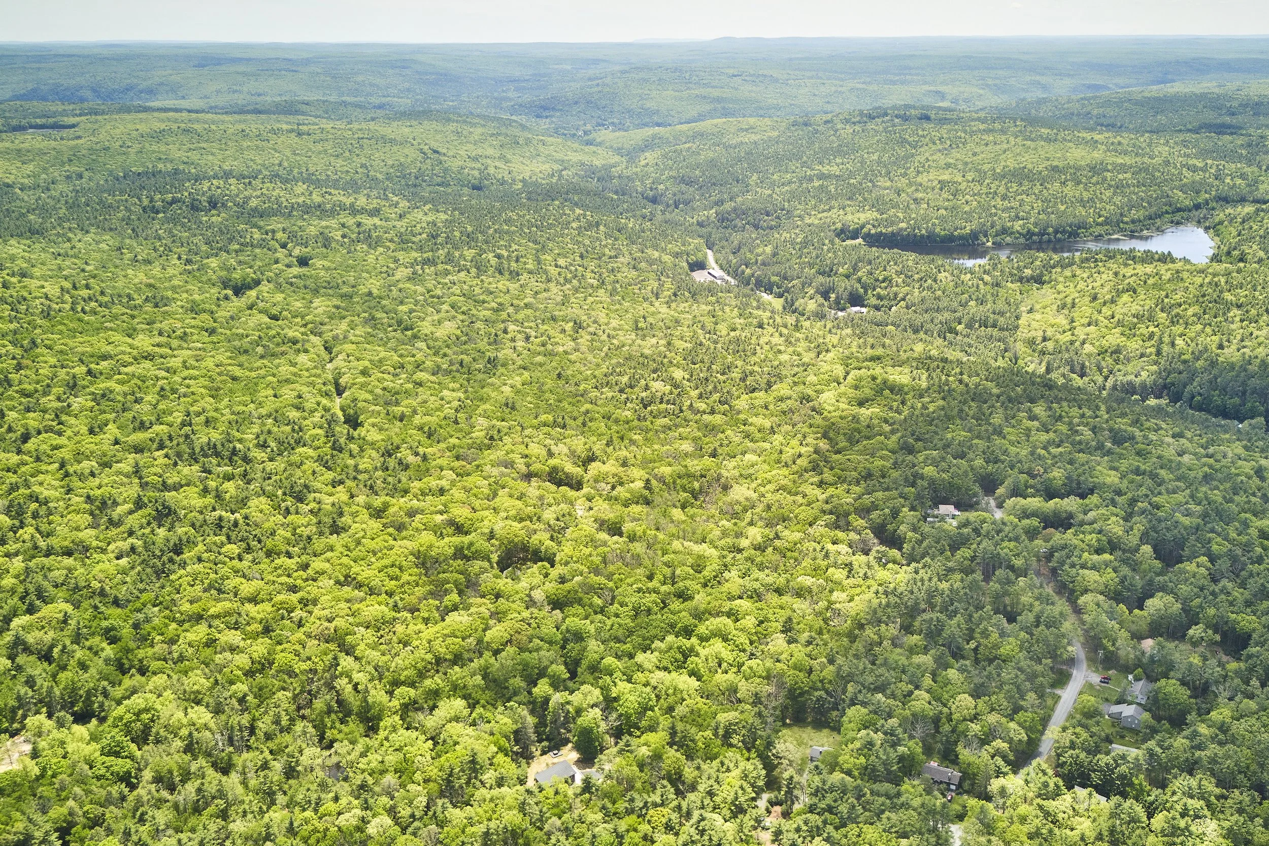AF_260526_9CurtisRd_885.jpg