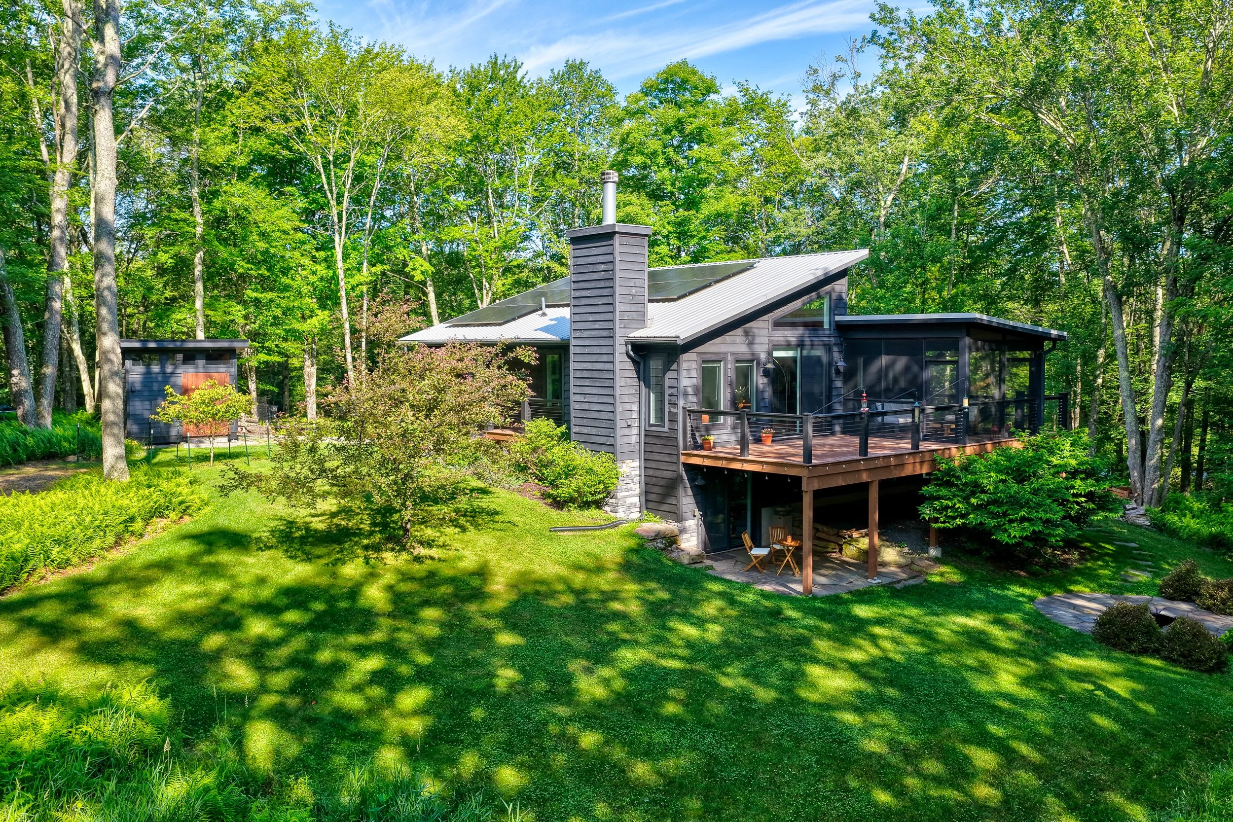 110 silver birch04.jpg