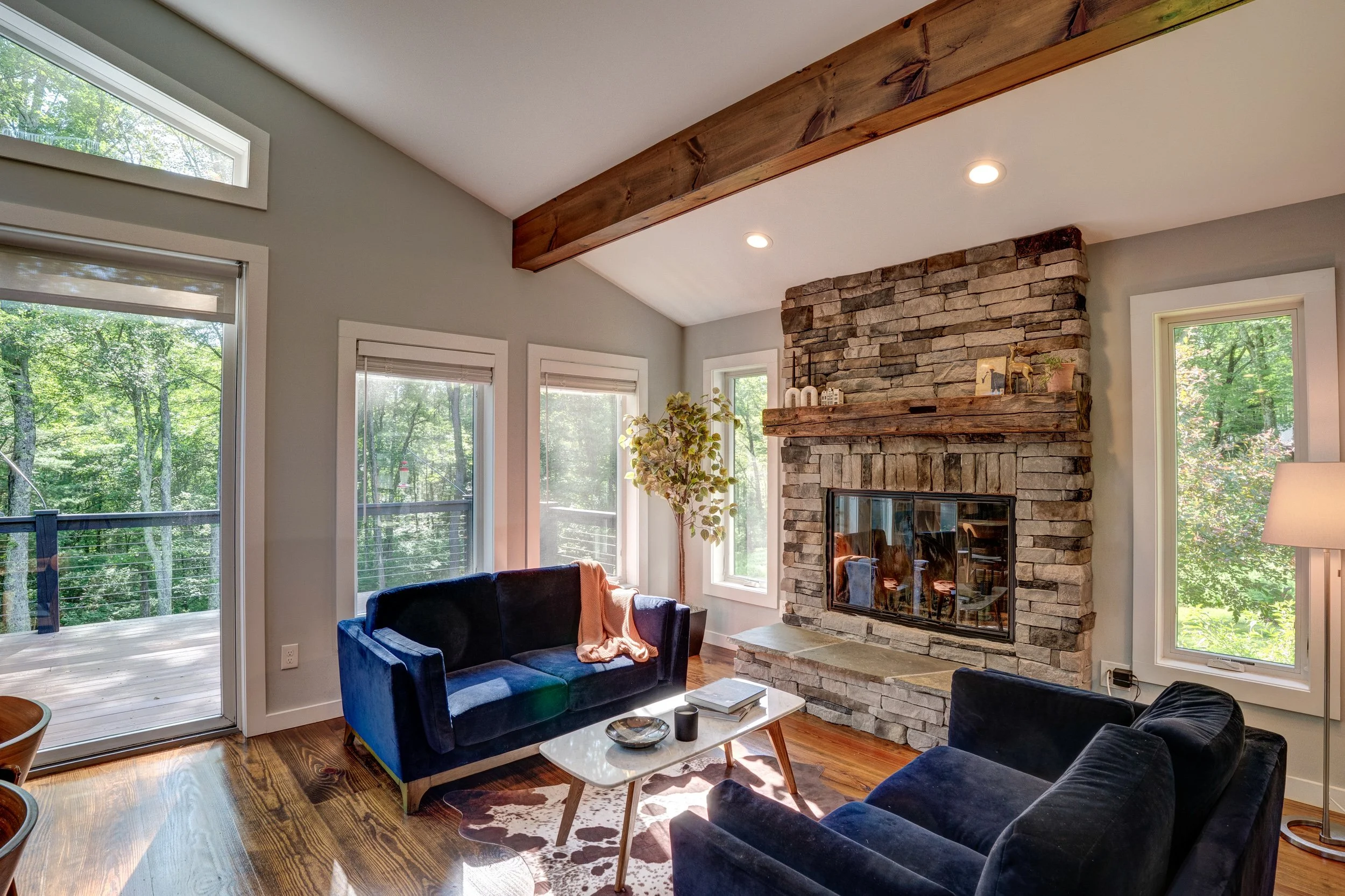 110 silver birch07.jpg