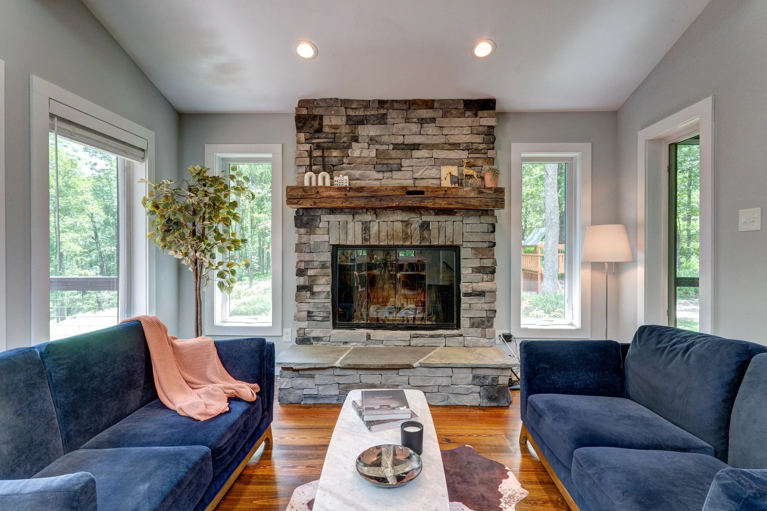 110 silver birch08.jpg
