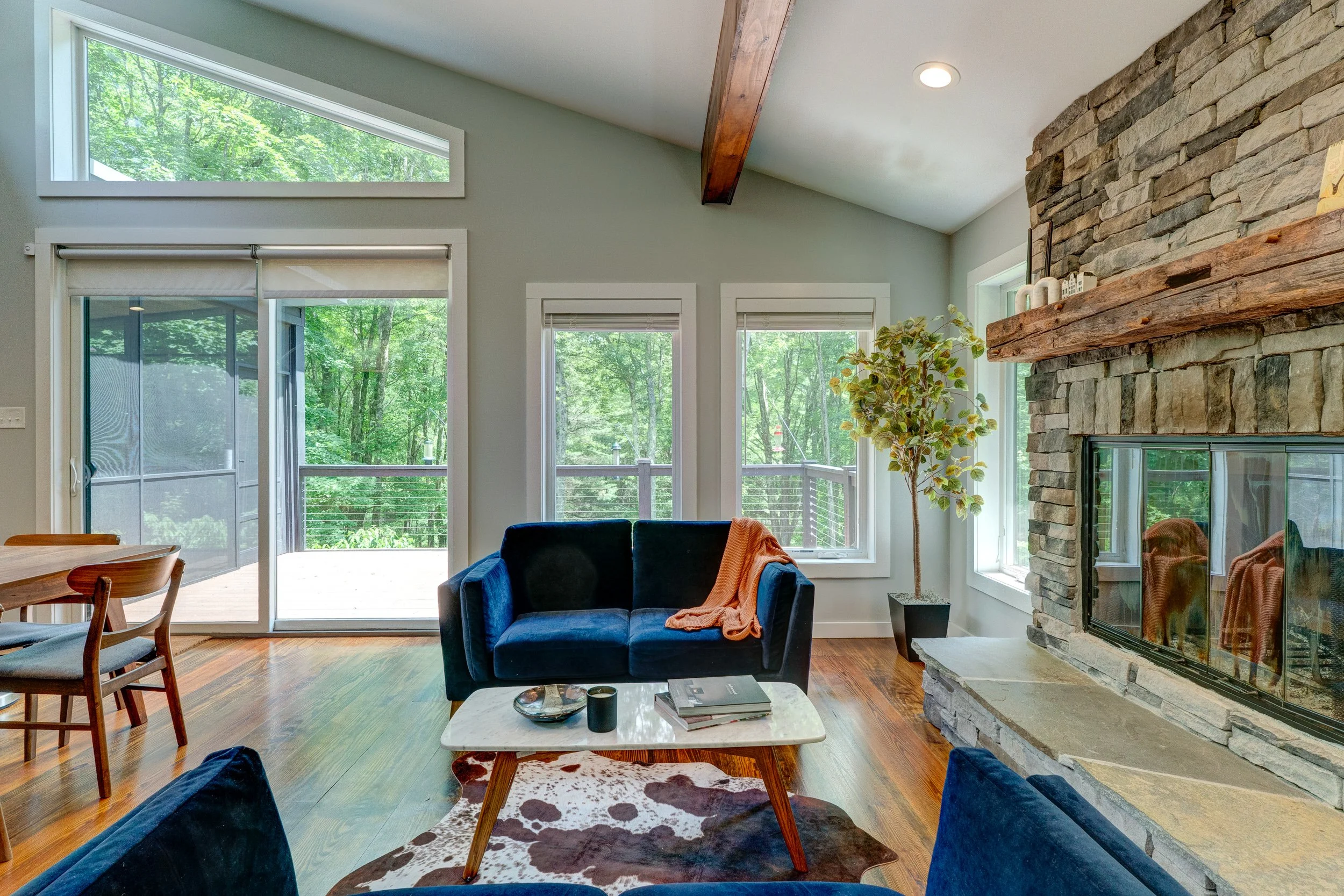 110 silver birch09.jpg