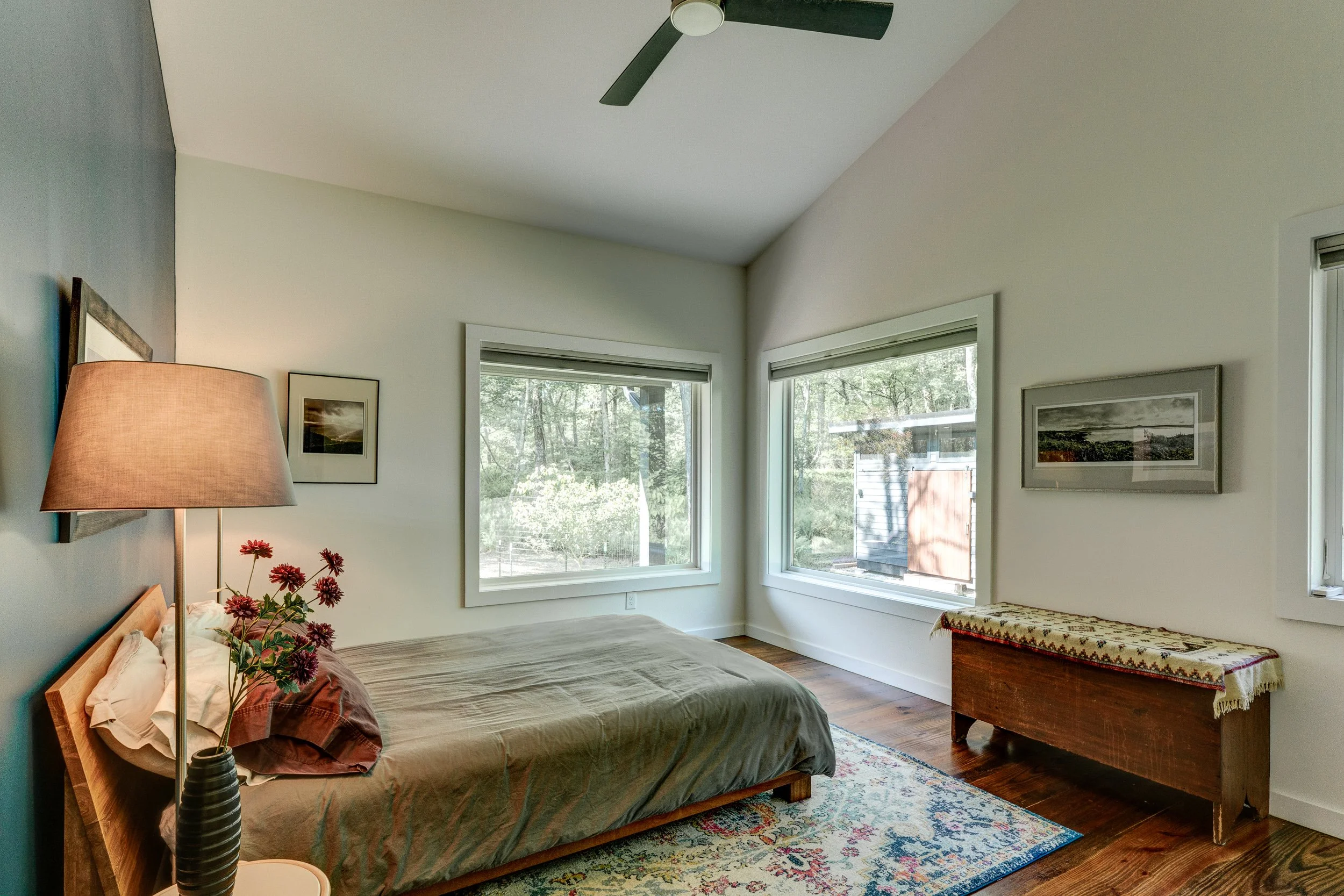 110 silver birch23.jpg