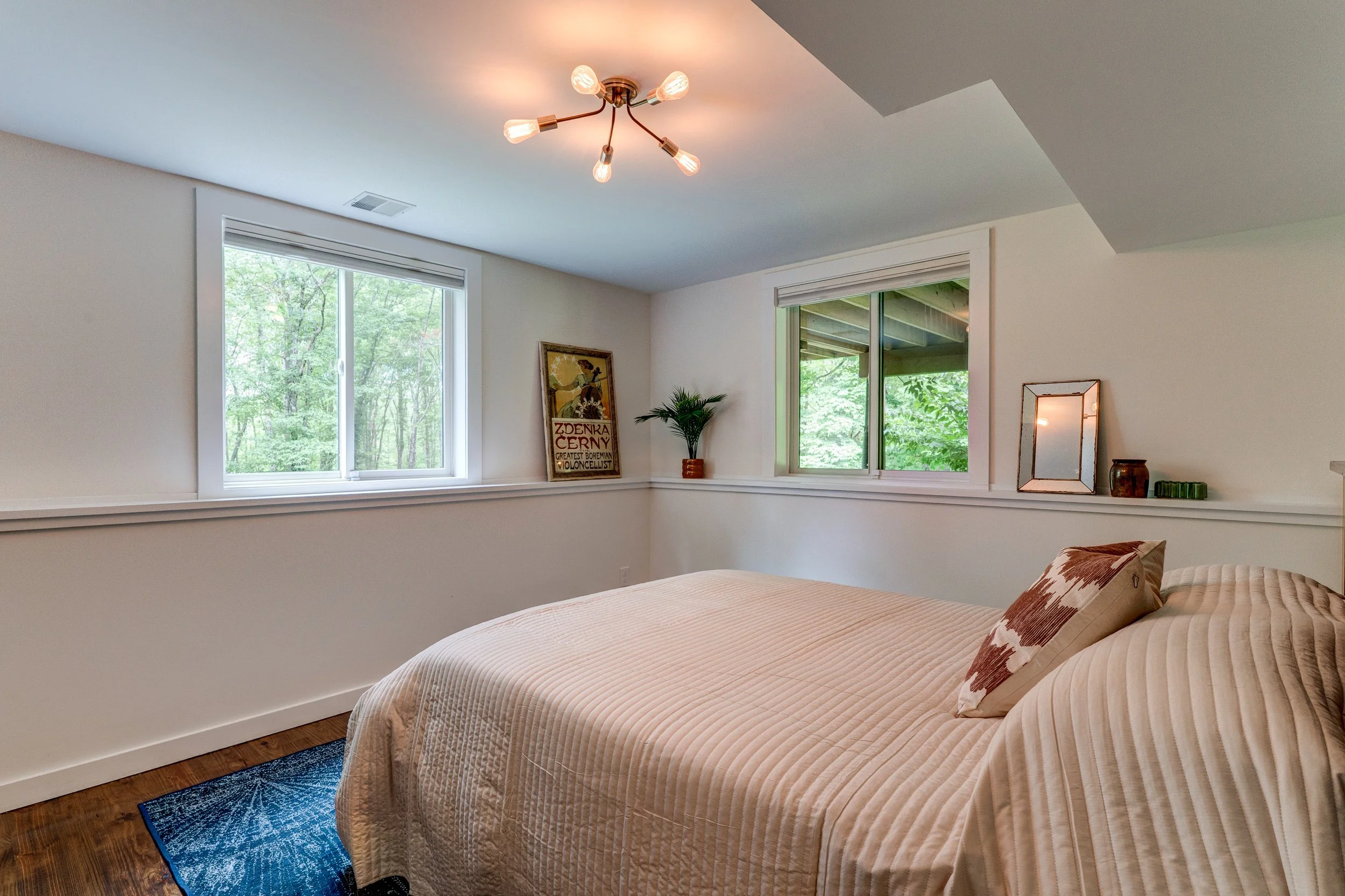 110 silver birch26.jpg