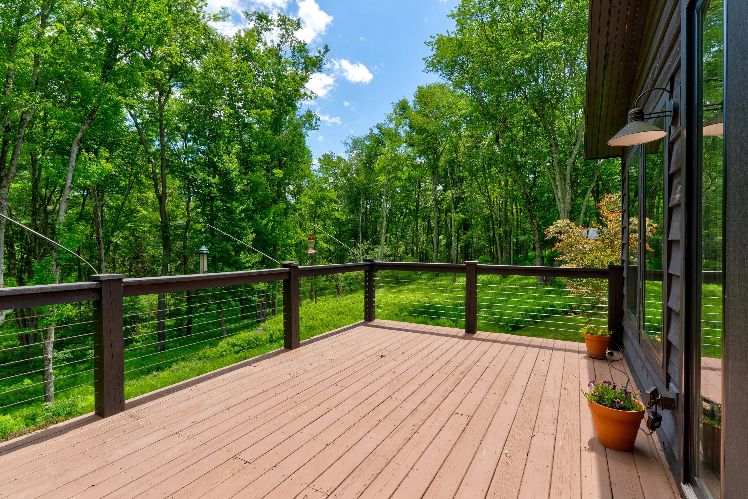 110 silver birch32.jpg