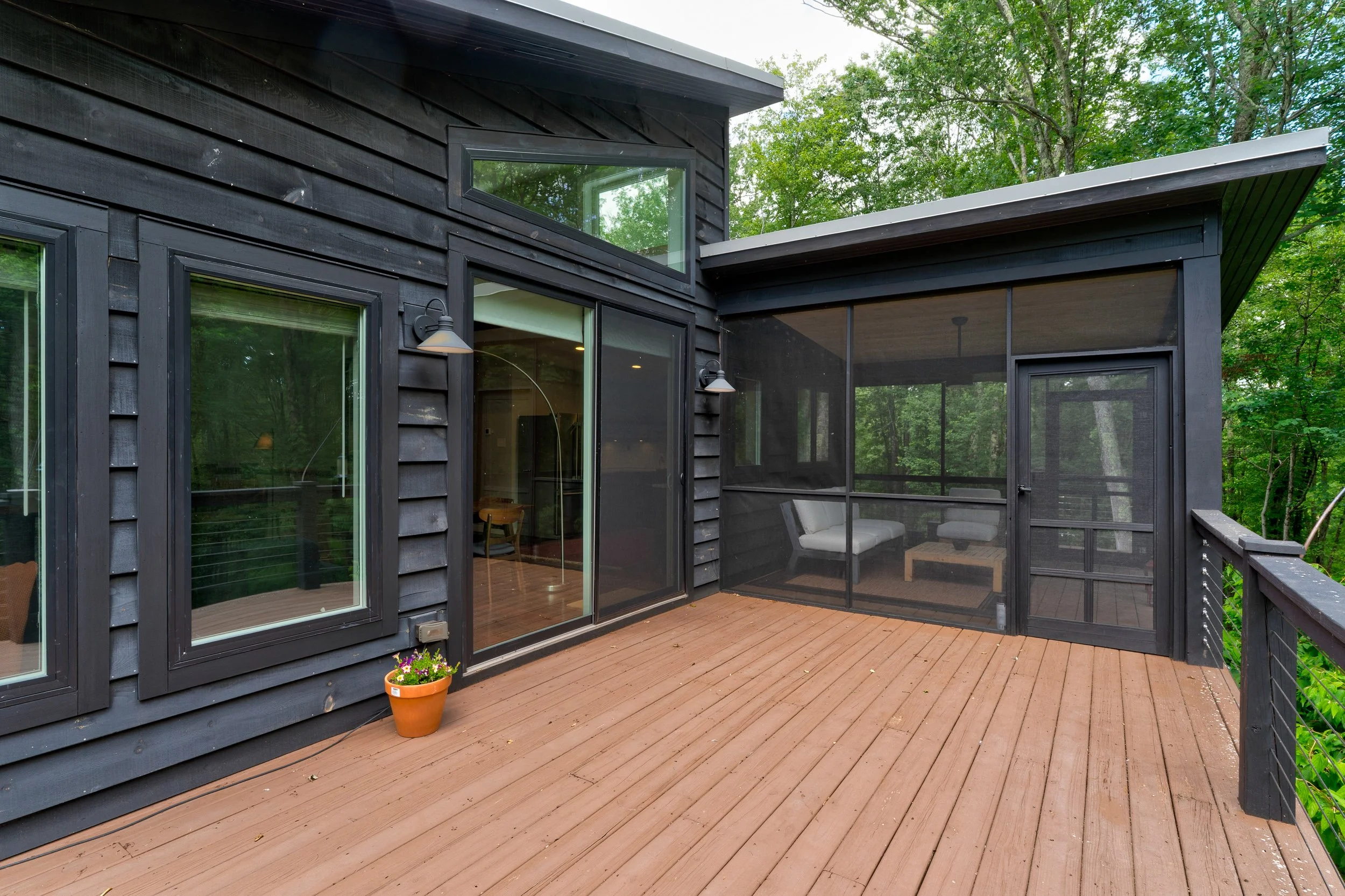 110 silver birch33.jpg