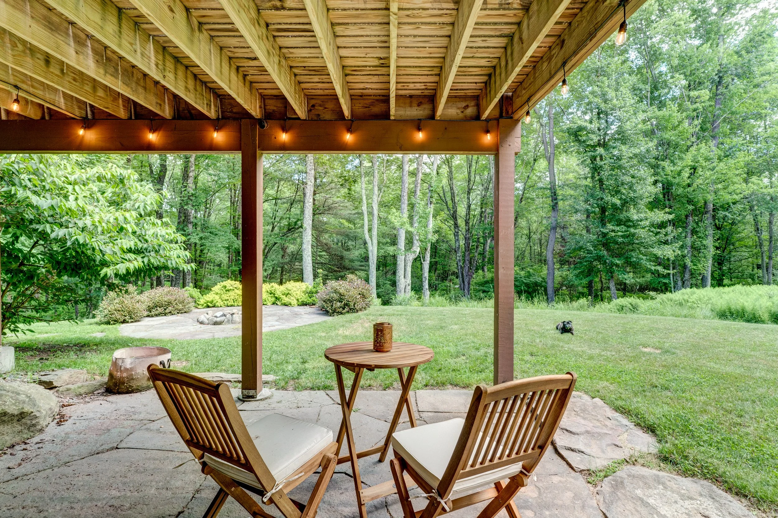 110 silver birch34.jpg