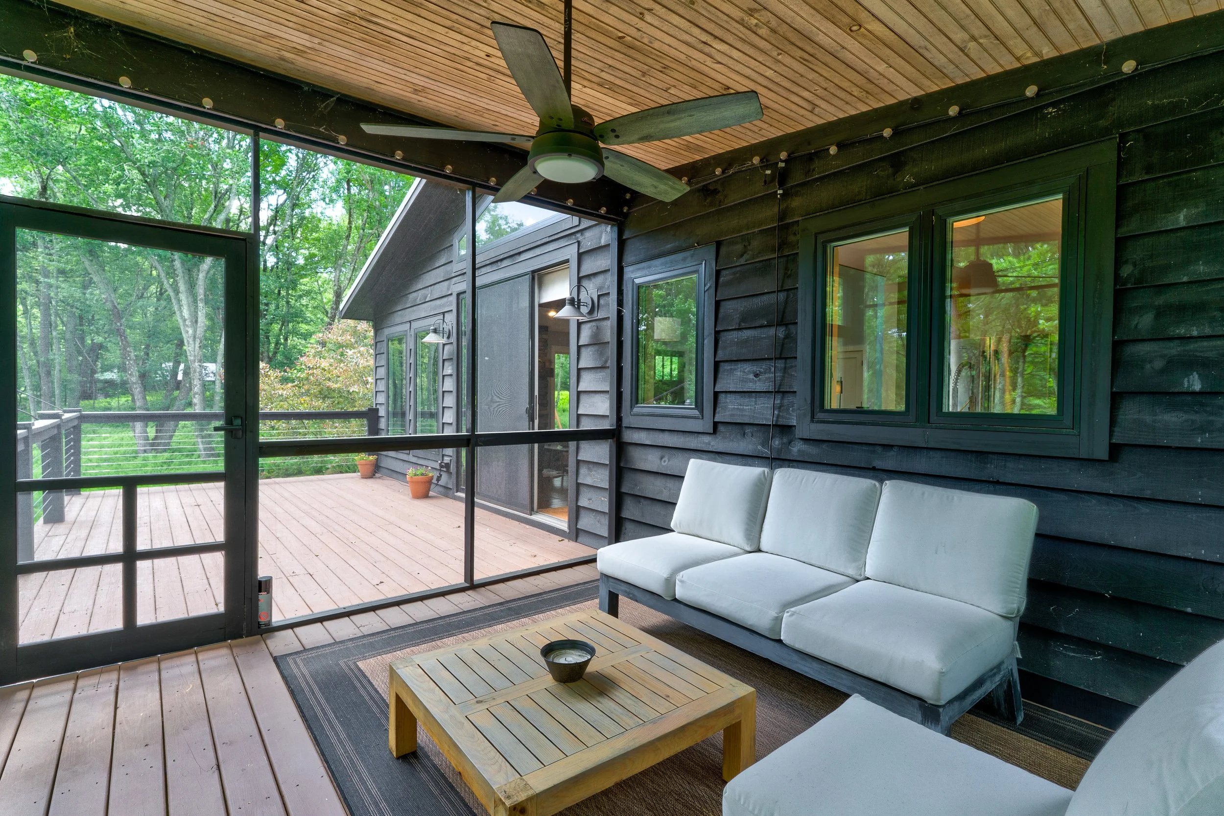 110 silver birch36.jpg