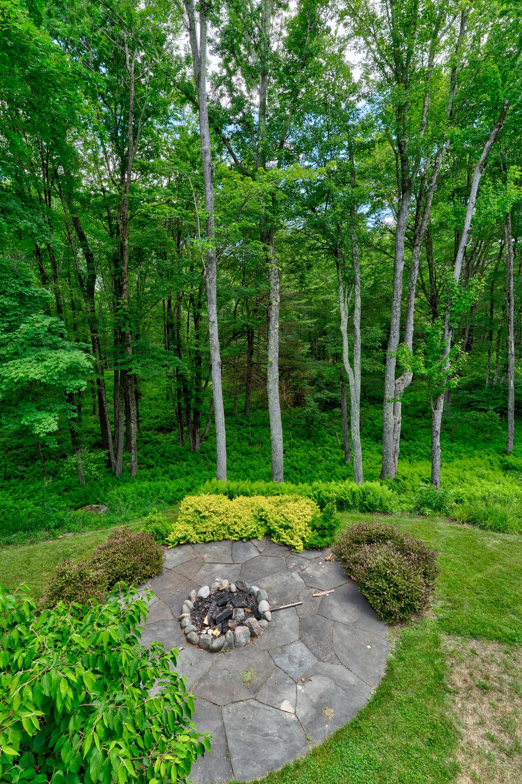 110 silver birch37.jpg