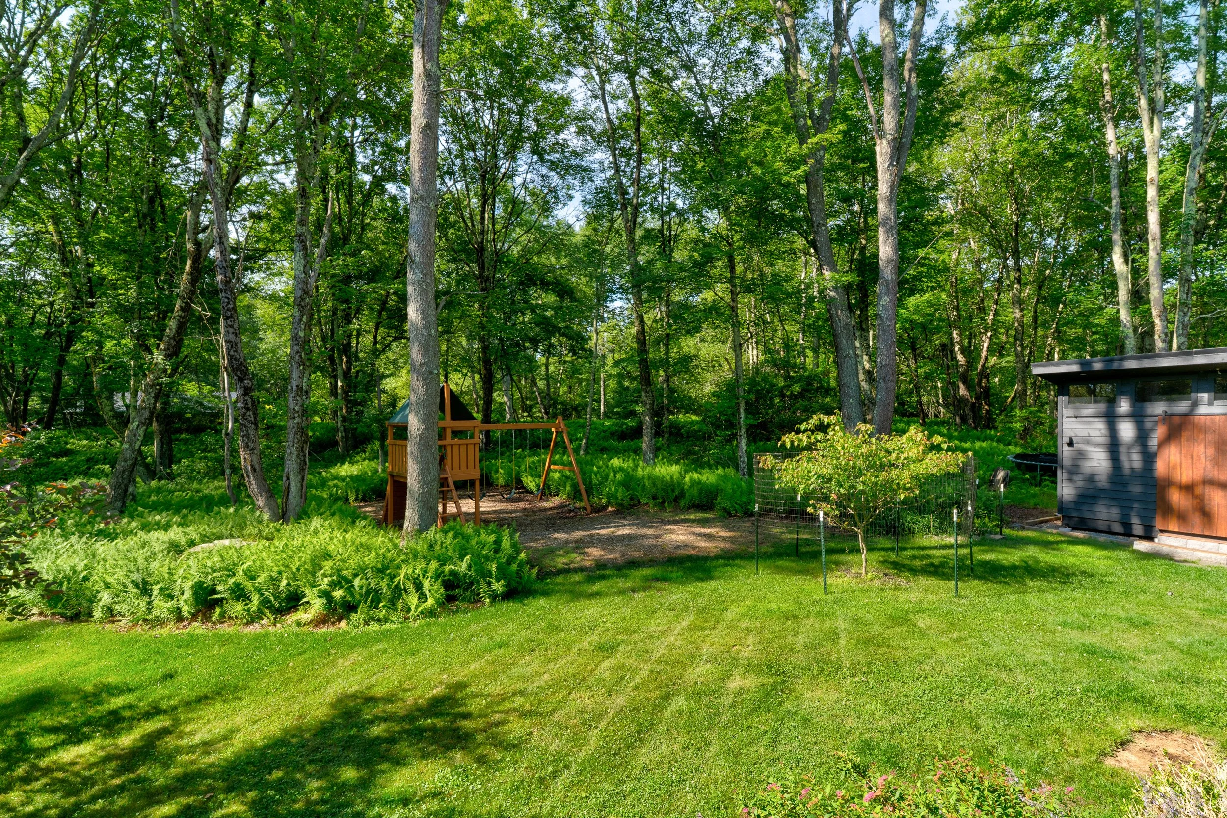 110 silver birch39.jpg