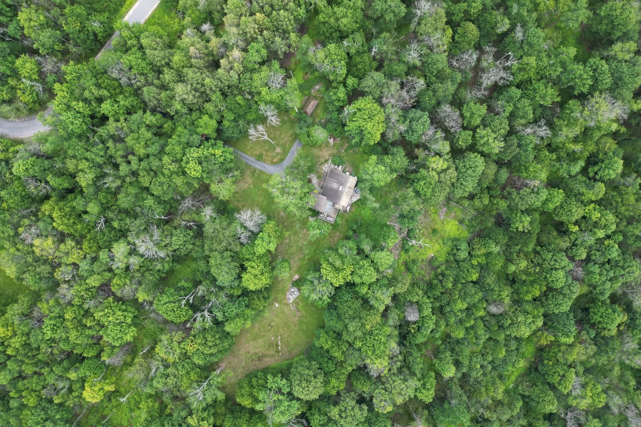 dji_fly_20260704_121052_780_1783768720560_photo.jpg