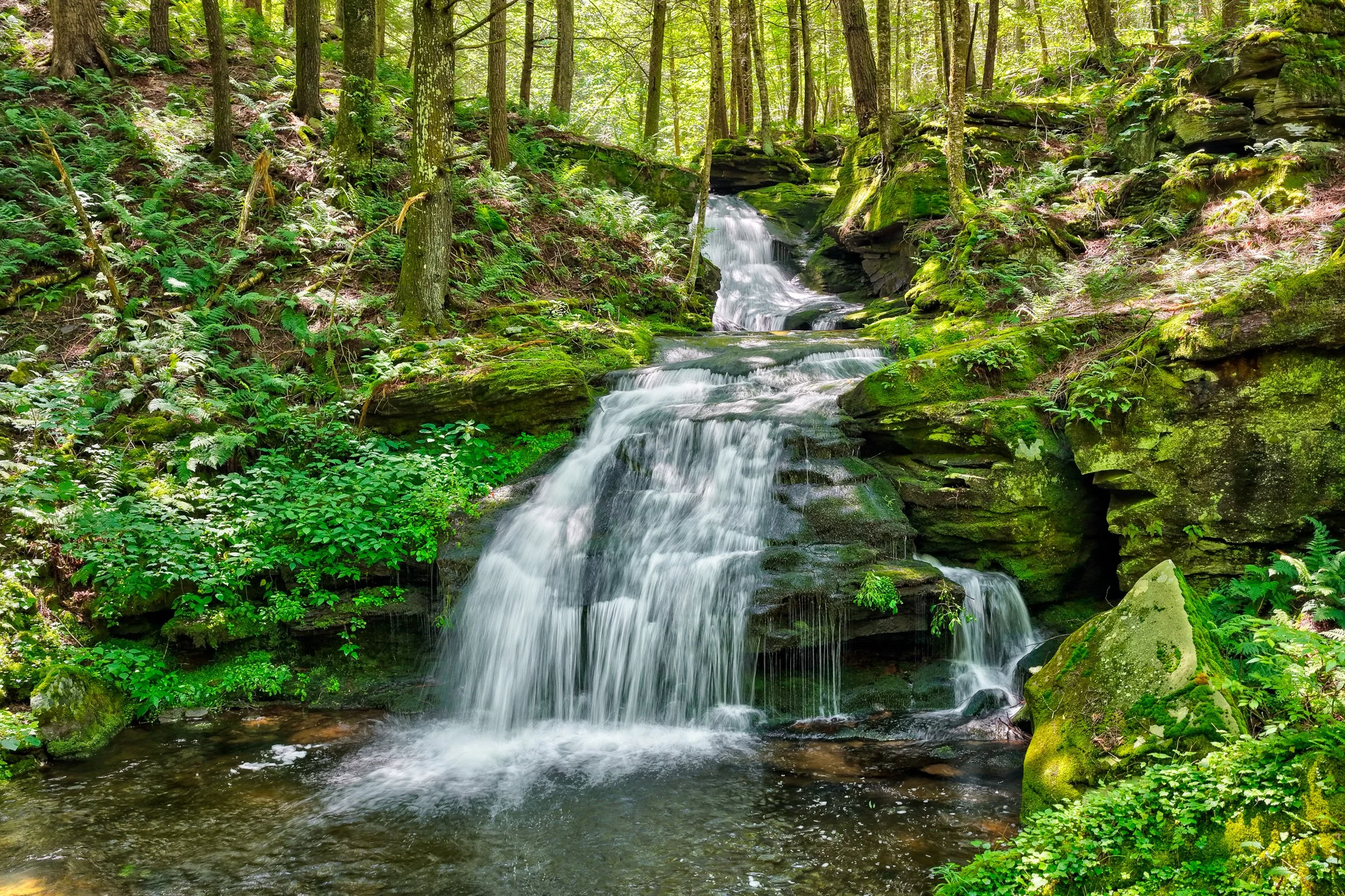 _TCP_LOT 1_falls04.jpg