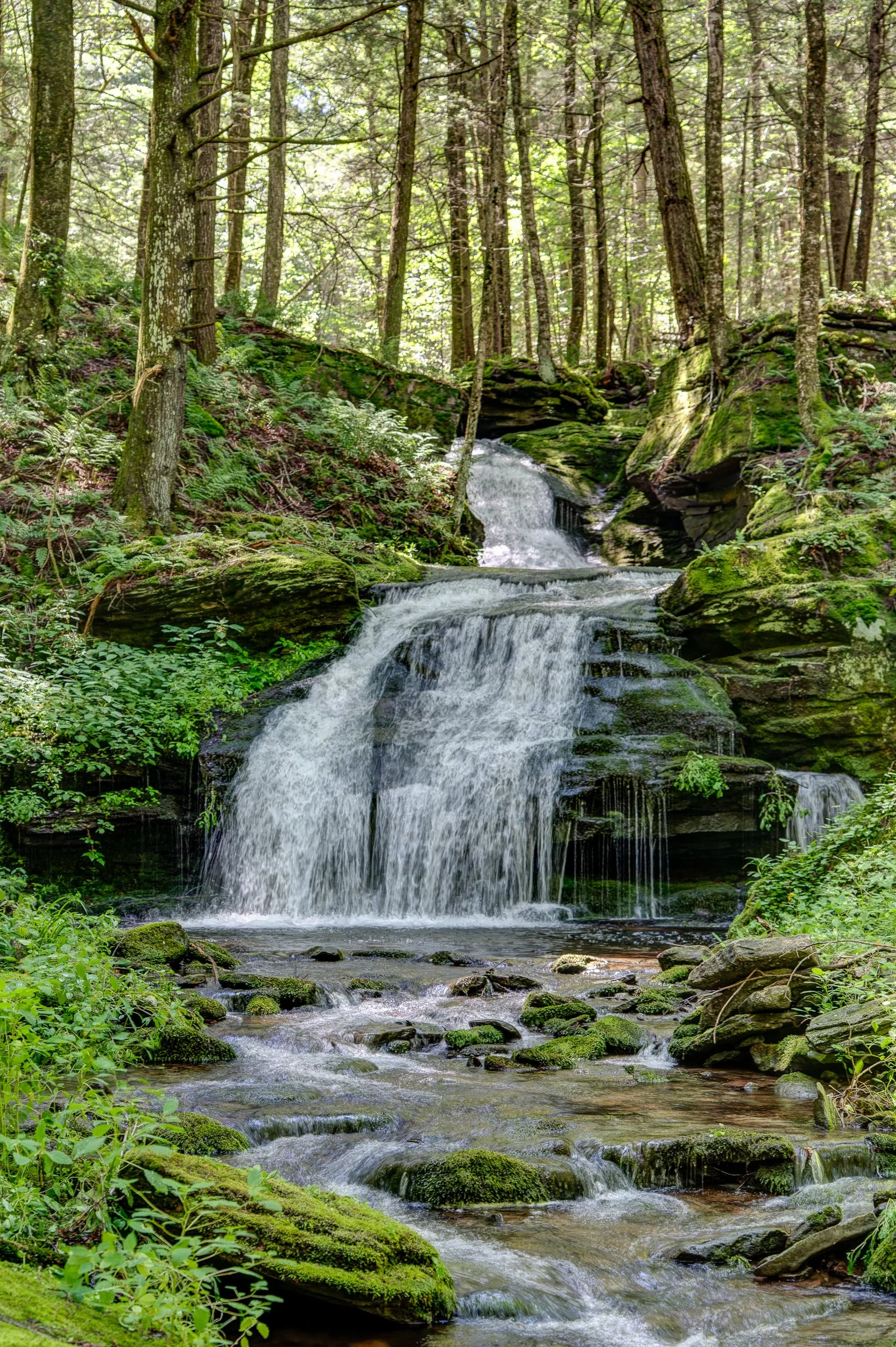 _TCP_LOT 1_falls17.jpg