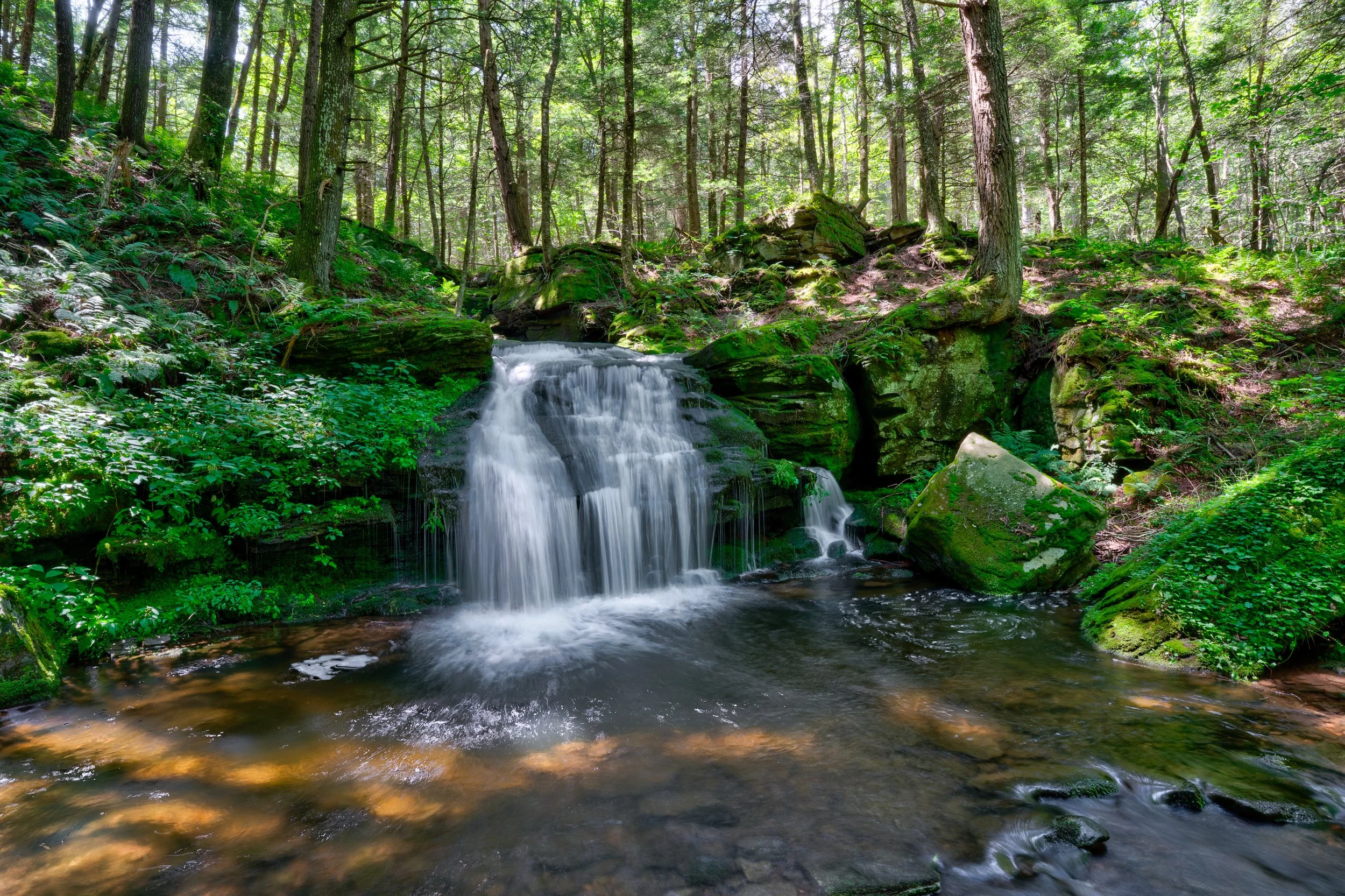 _TCP_LOT 1_falls19.jpg