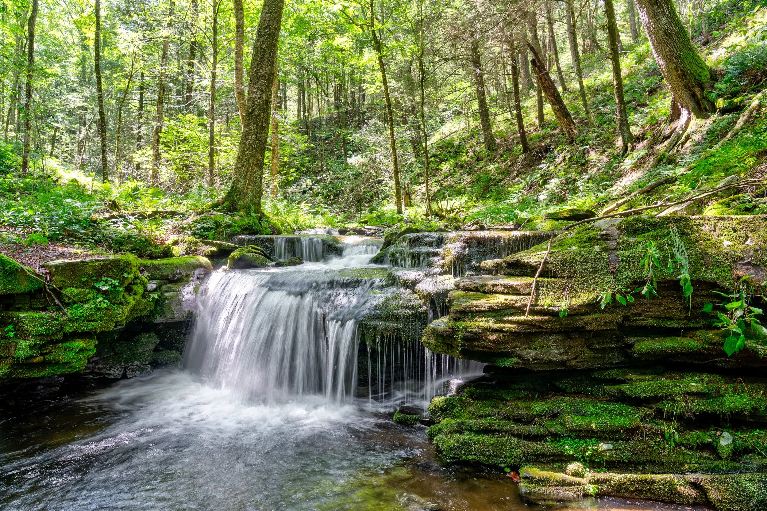 _TCP_LOT 1_falls08.jpg