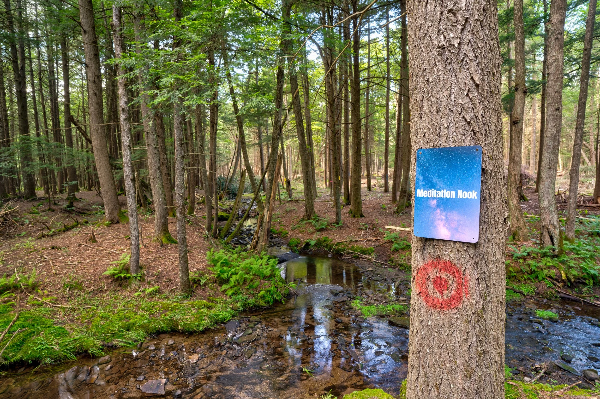 __selects_633_BSR40.jpg