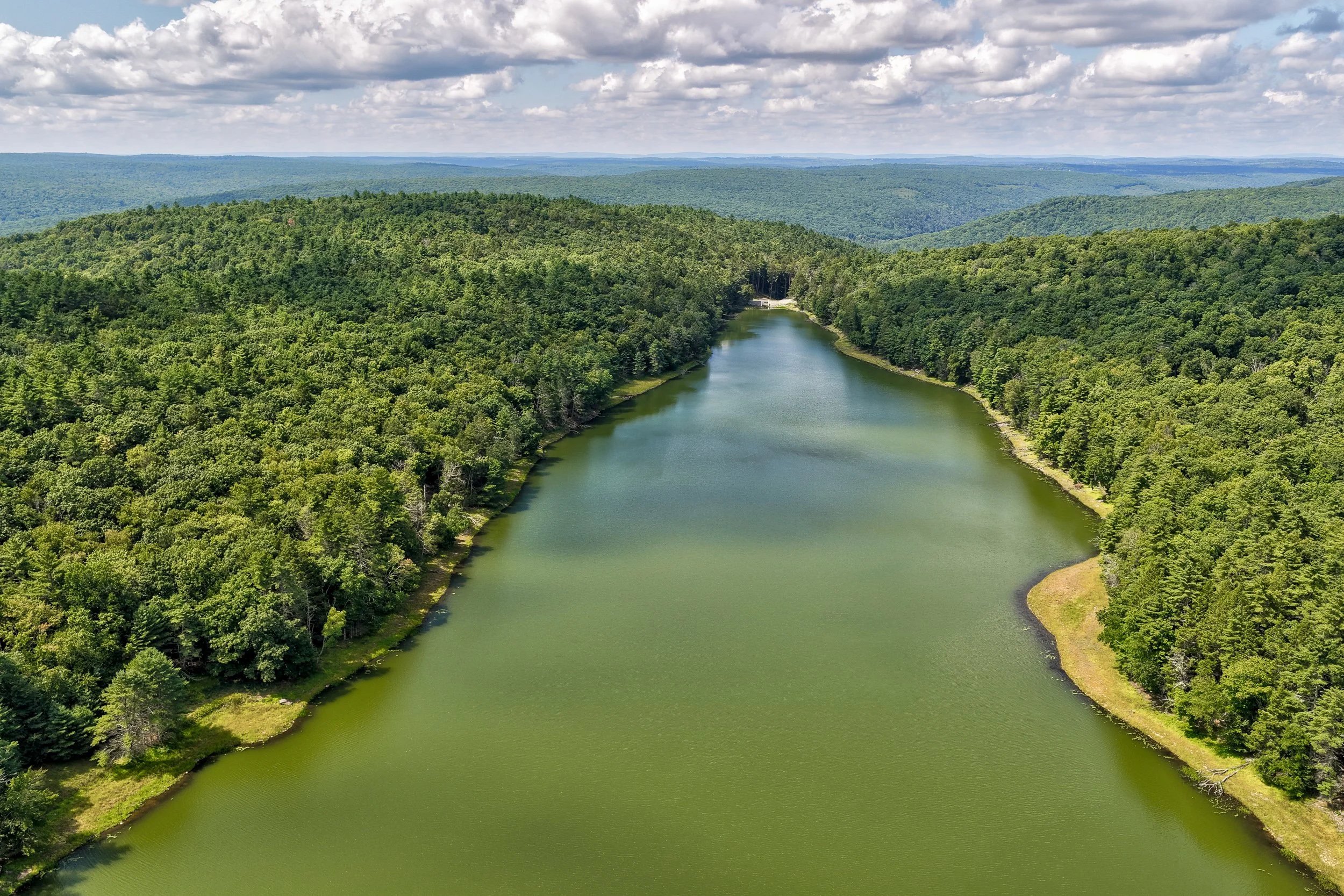 _mahls pond46.jpg
