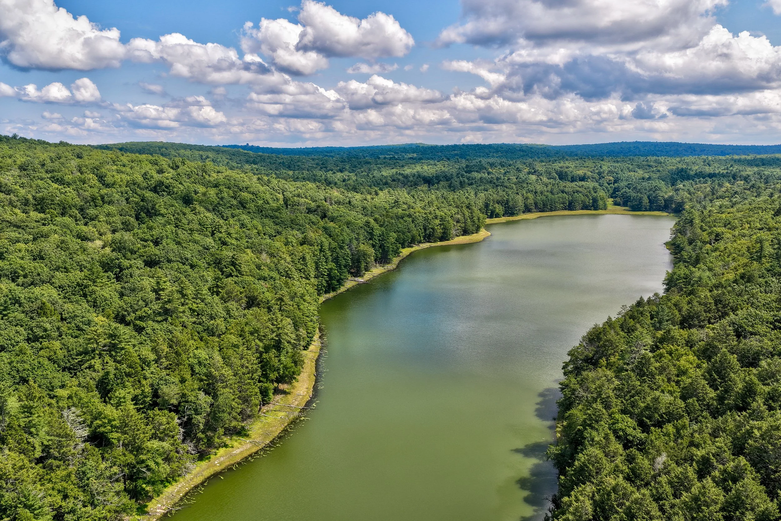 _mahls pond47.jpg