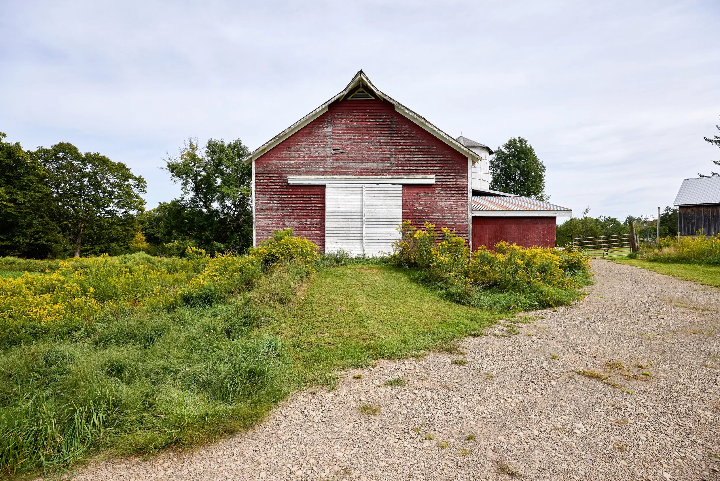 197WeissRd-66.jpg