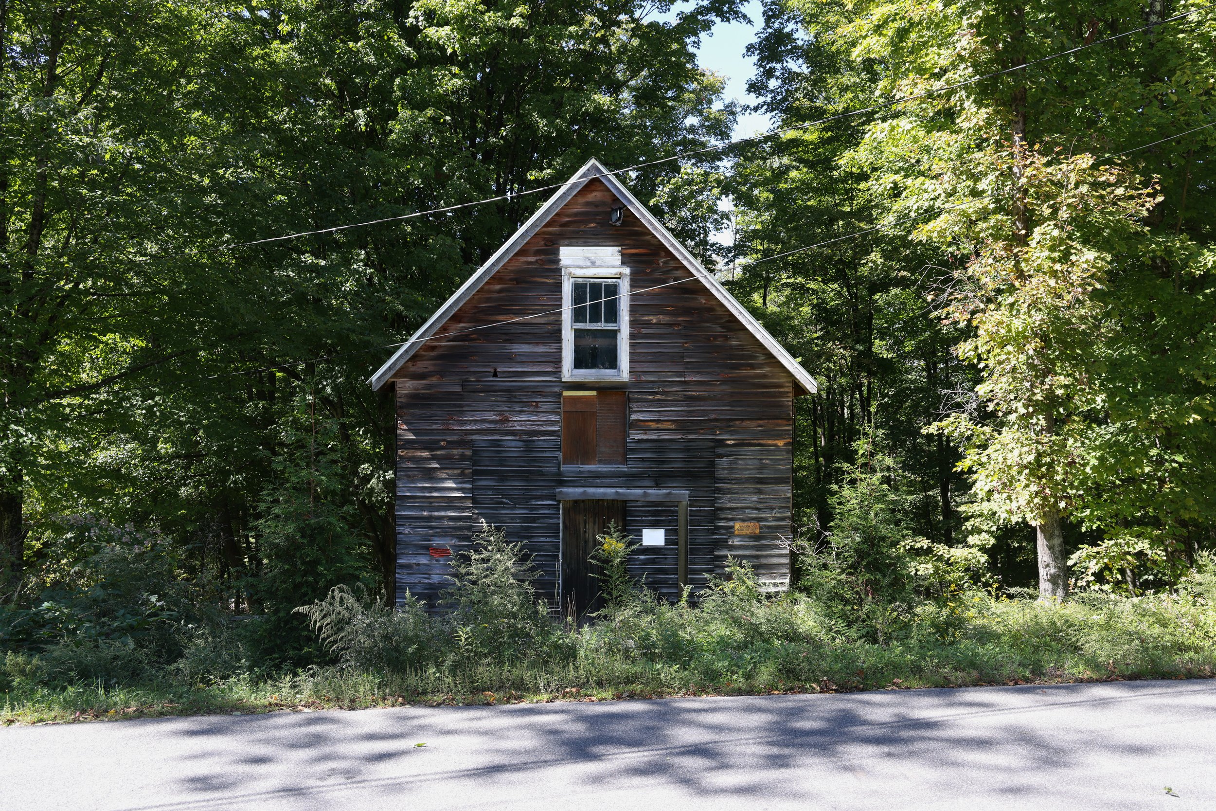 54 Devany Road-33.jpg