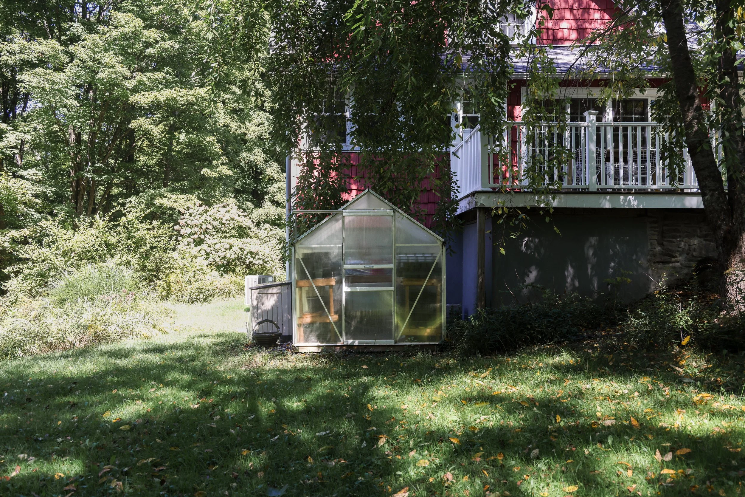 54 Devany Road-43.jpg