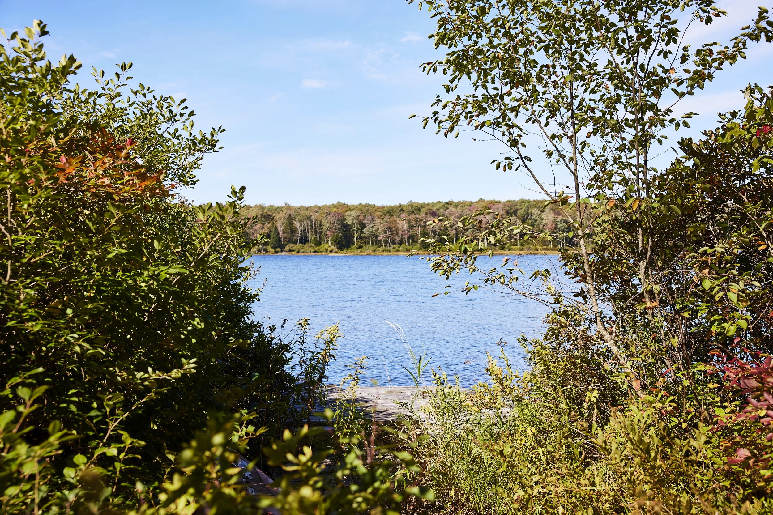 AF_260923_452WhiteRoeLakeRd_343.jpg