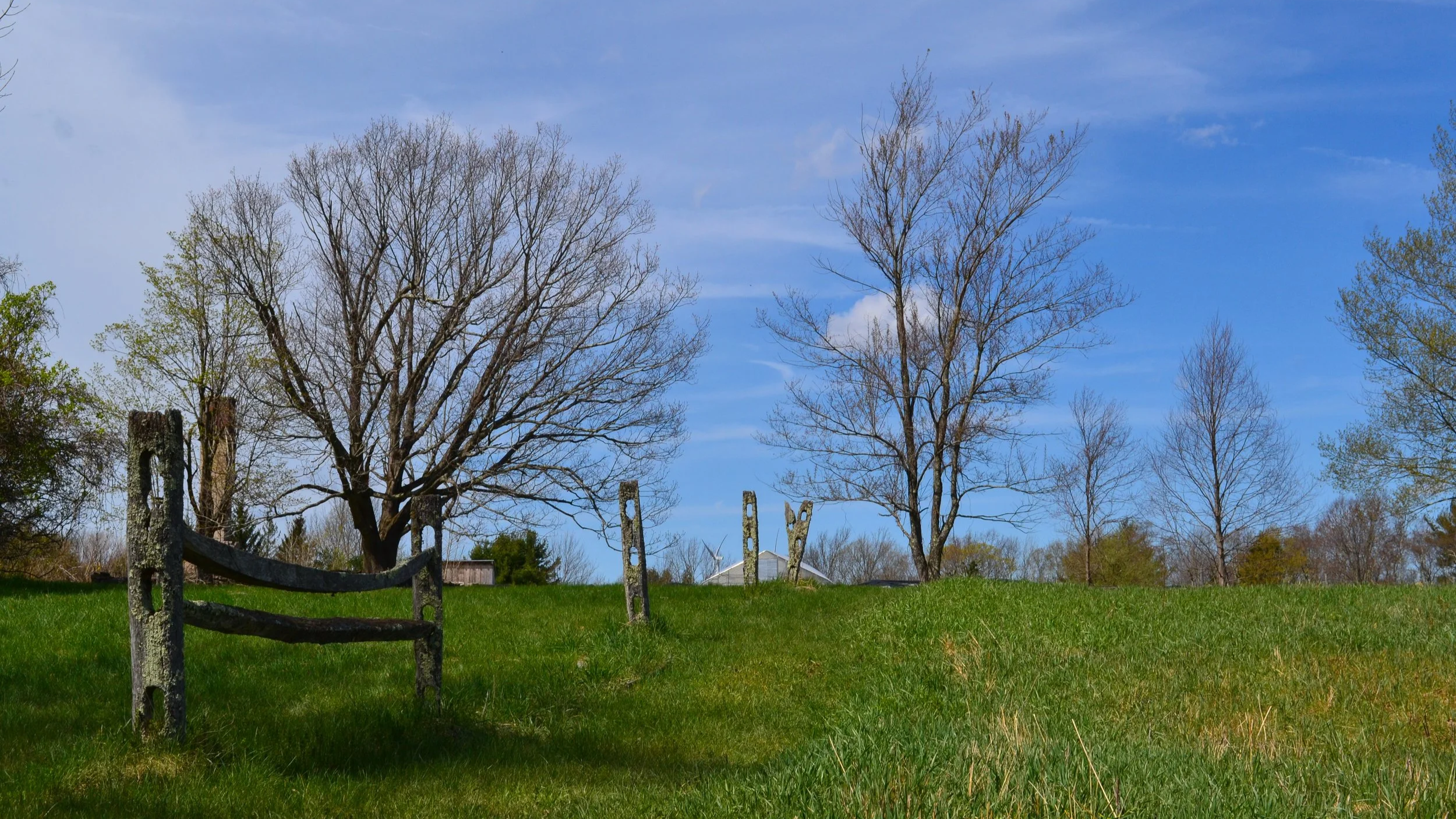 DSC_0365.png