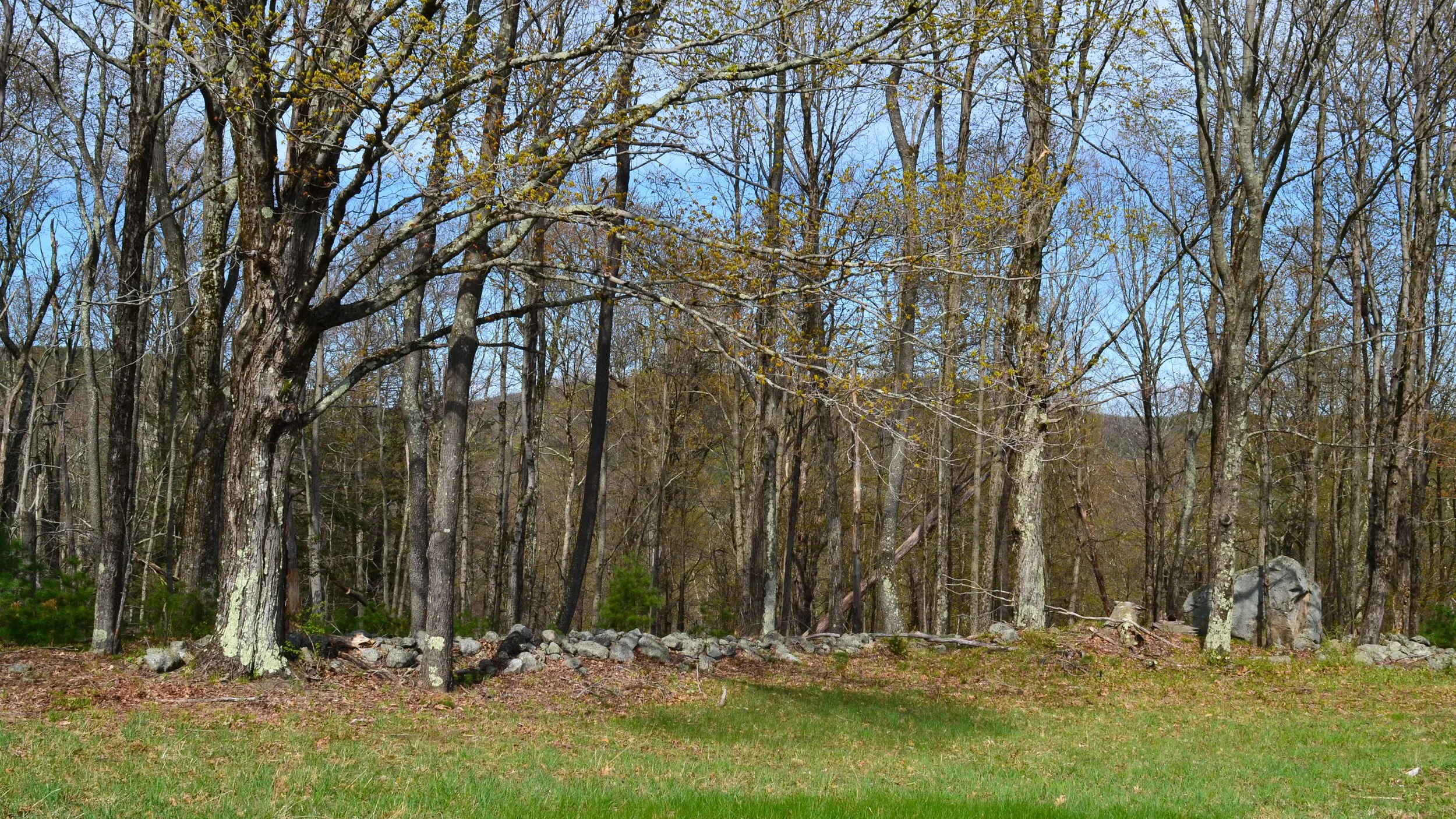 DSC_0606.png