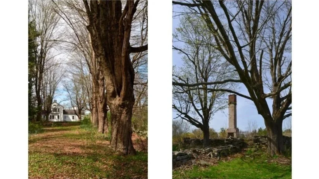 SideBySide1.jpg