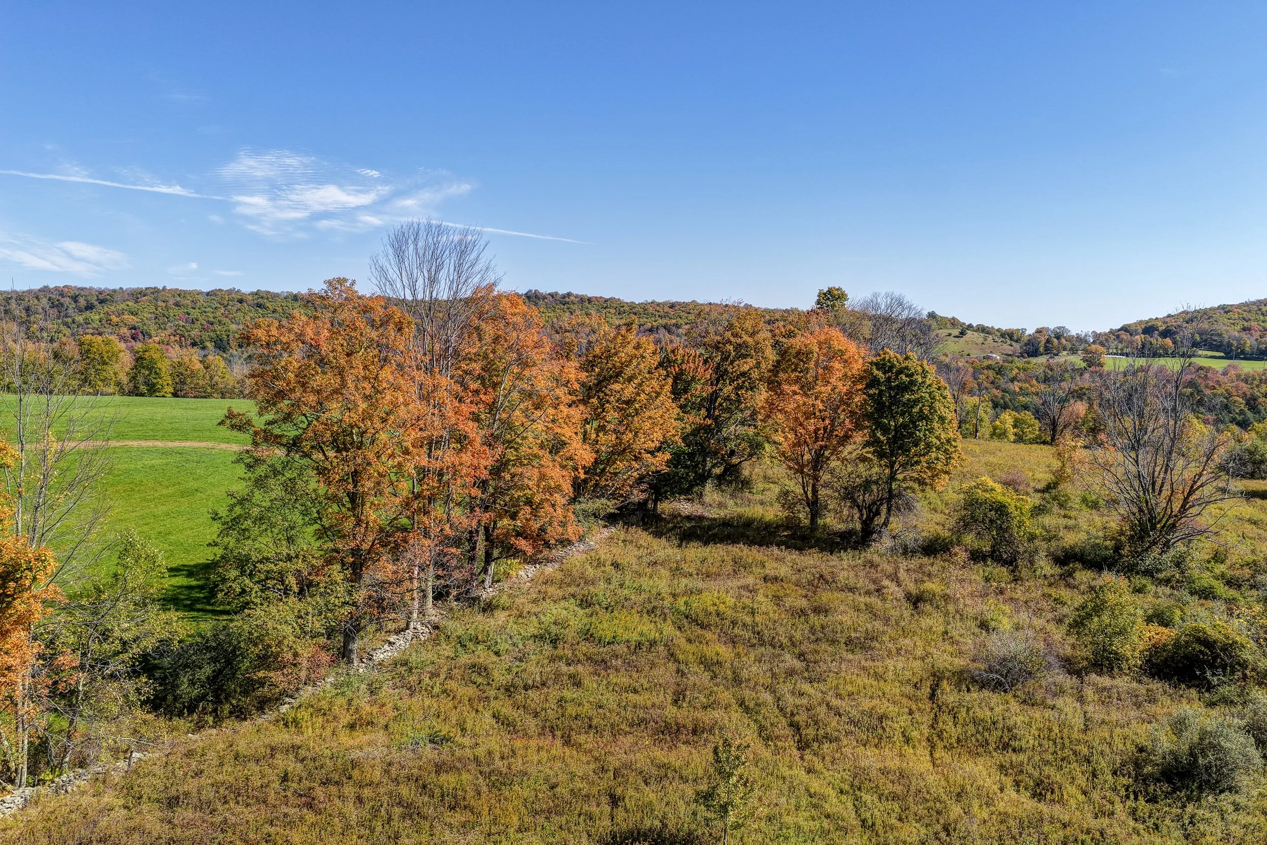DJI_20261007121247_0251_D-2.jpg